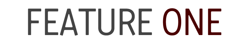 FEATURE ONE