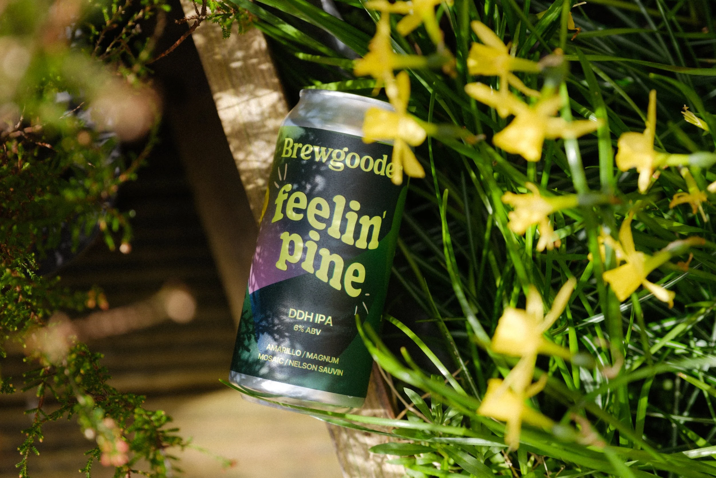 Feelin' Pine