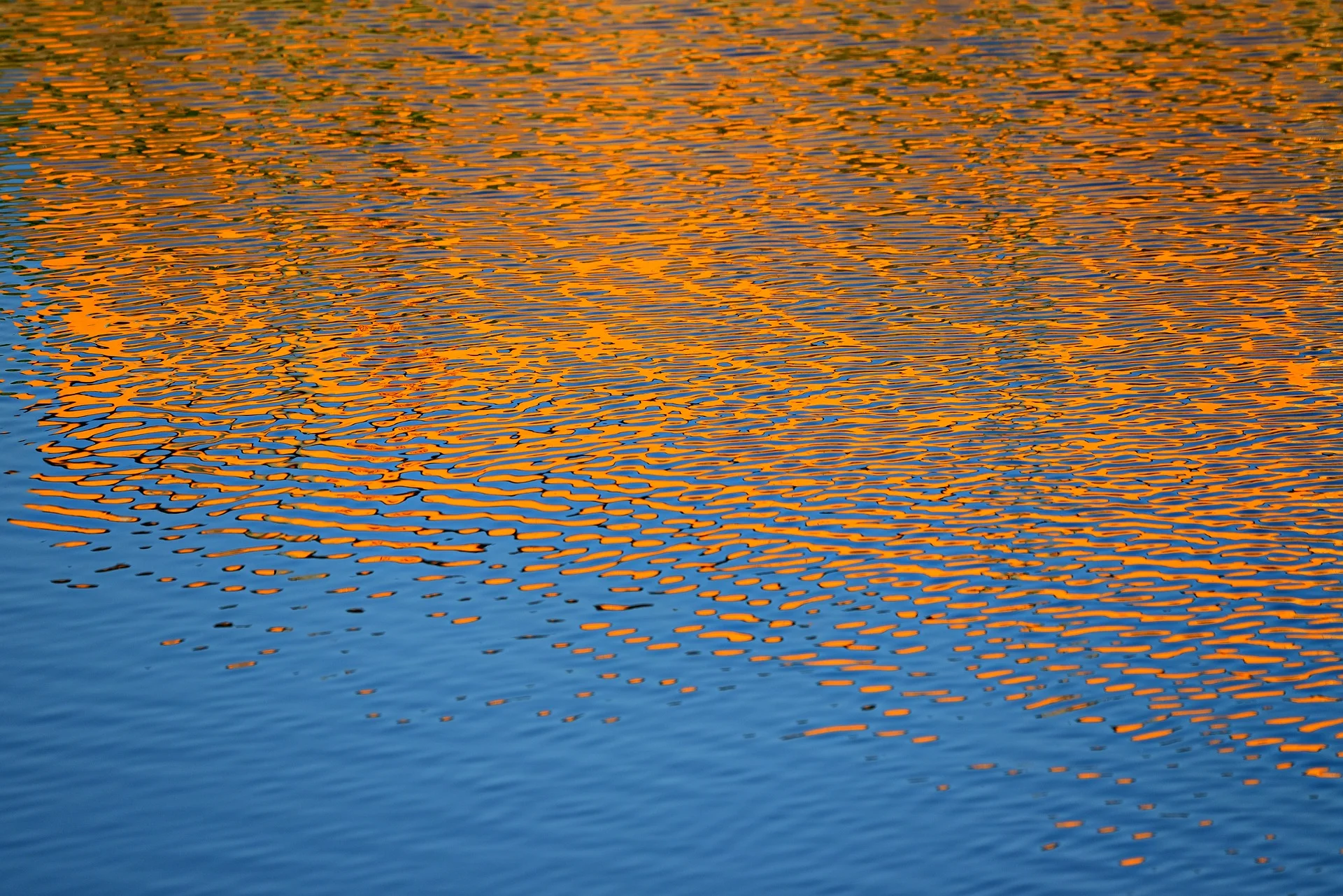 water-3711257_1920.jpg