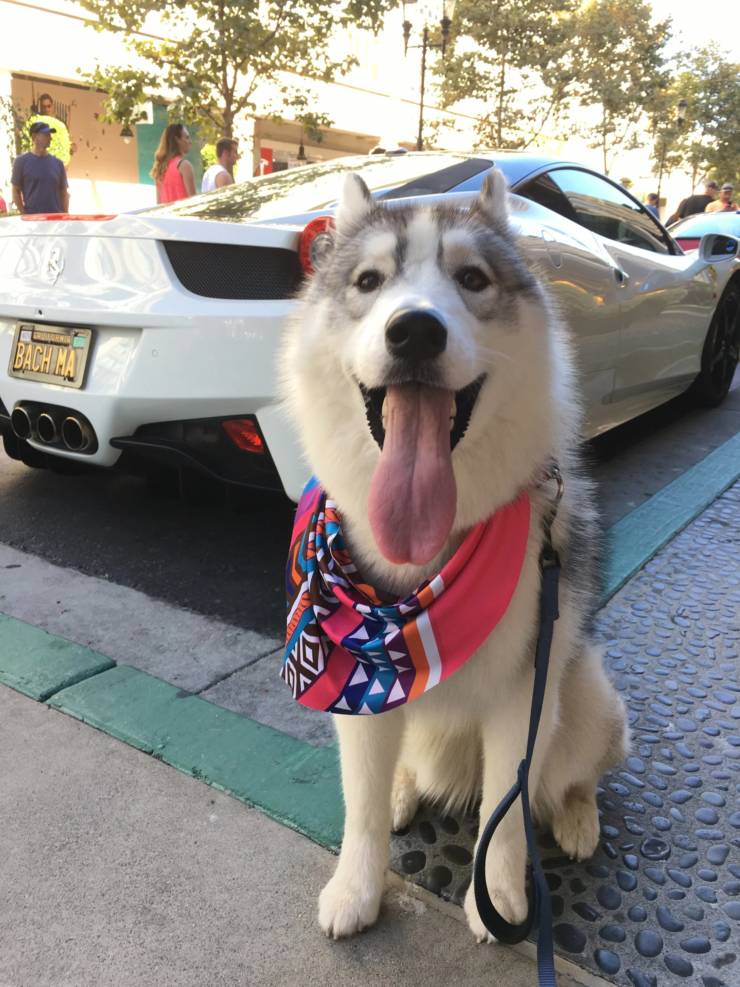 Cars and Coffee at Santana Row