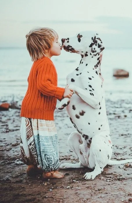 dogs-and-babies-10.jpg