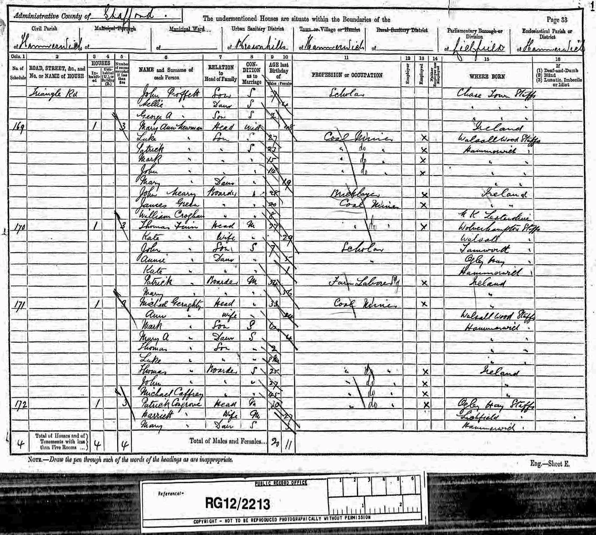 Extract from the 1891 census