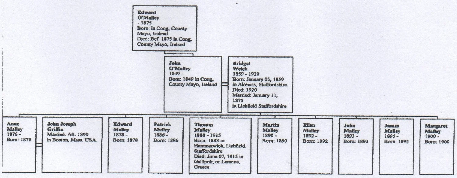 Family of John O’MALLEY and Bridget WELCH showing surviving children