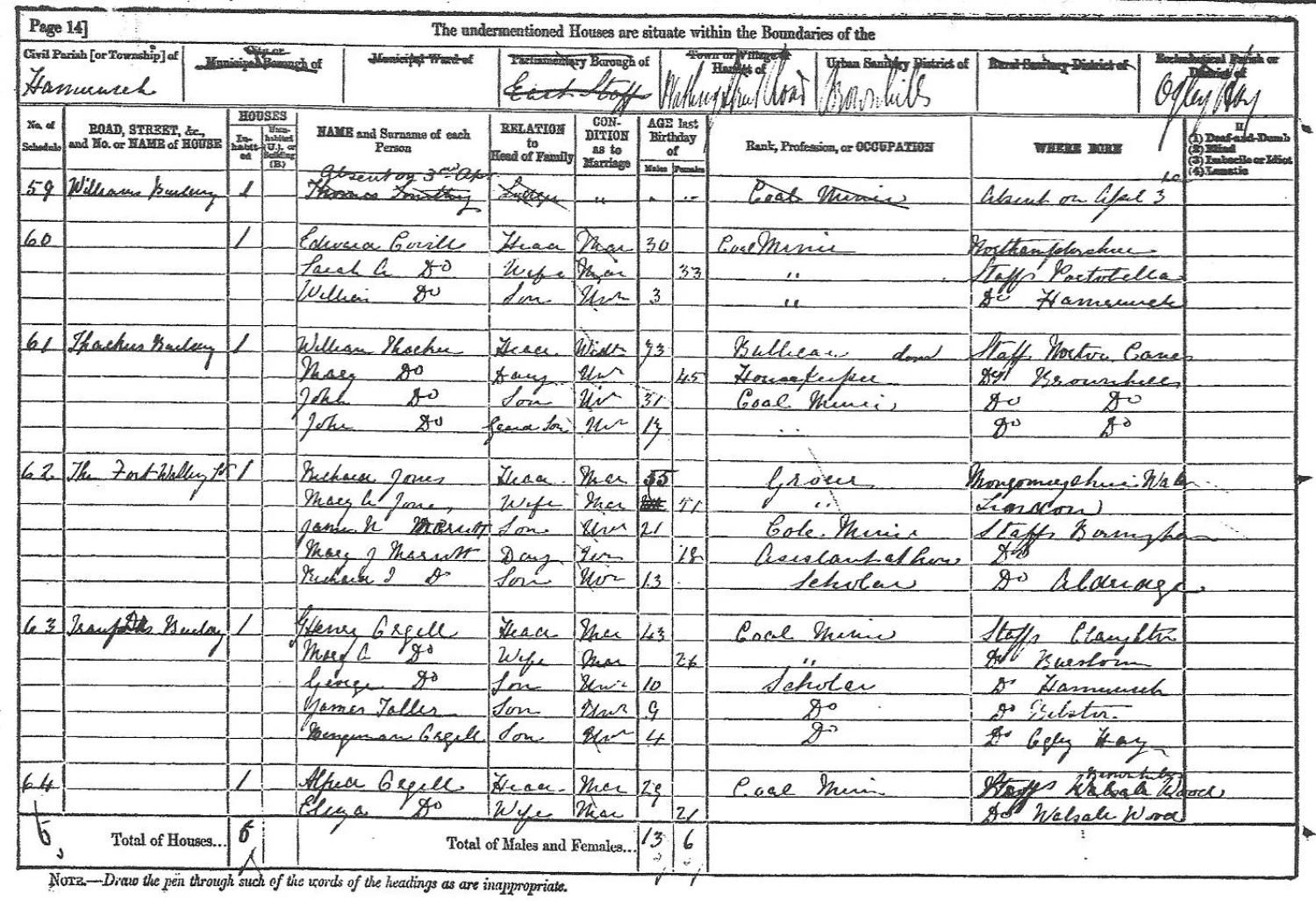 Extract from the 1881 census
