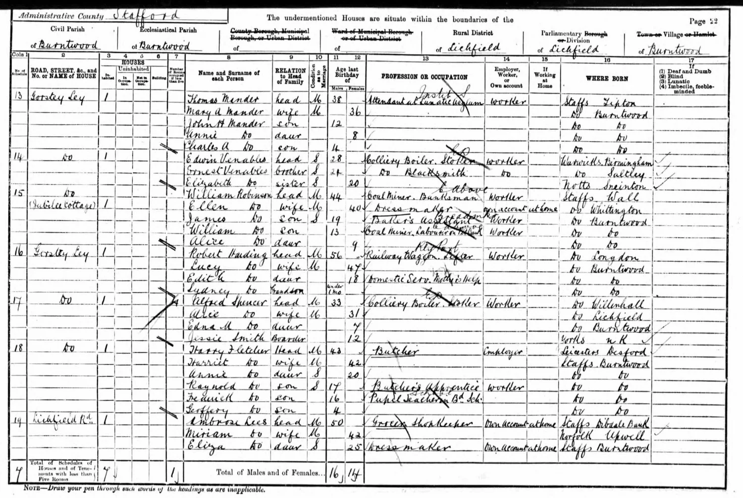 Extract from the 1901 census