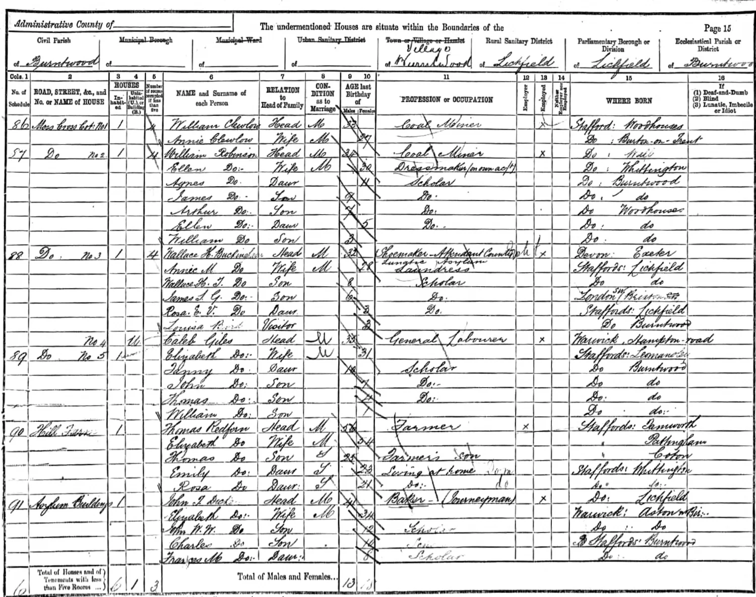 Extract from the 1891 census
