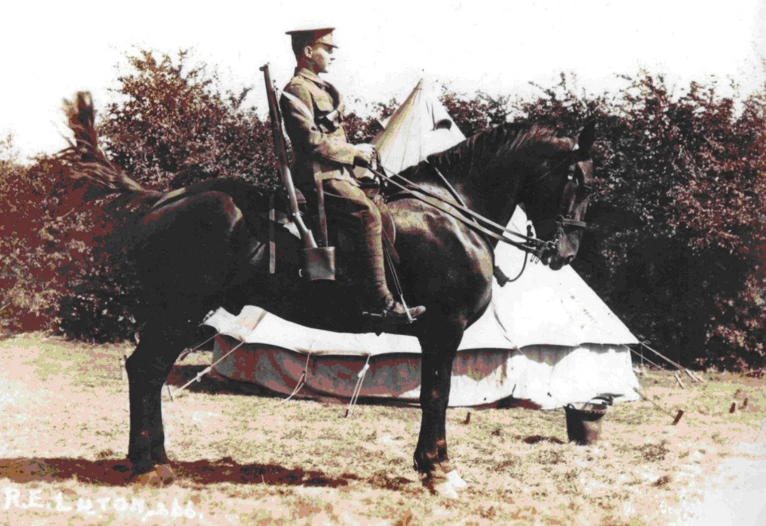 Harry Penton mounted on a dray horse