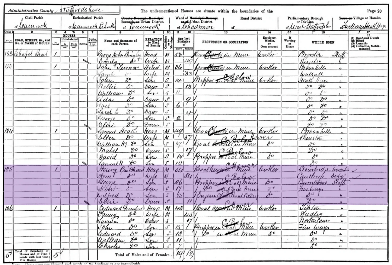 1901 Census for Henry and Ann Pritchard and family