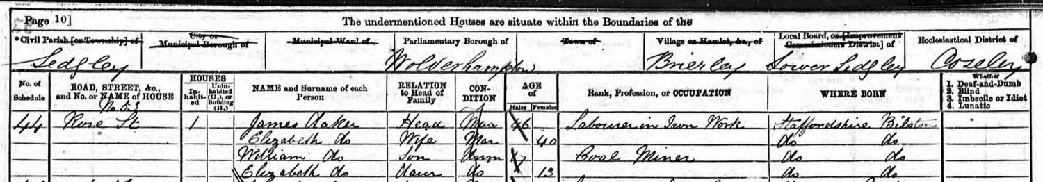 Extract from the 1871 census showing the family of James and Elizabeth Daker