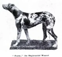 freda2.jpg