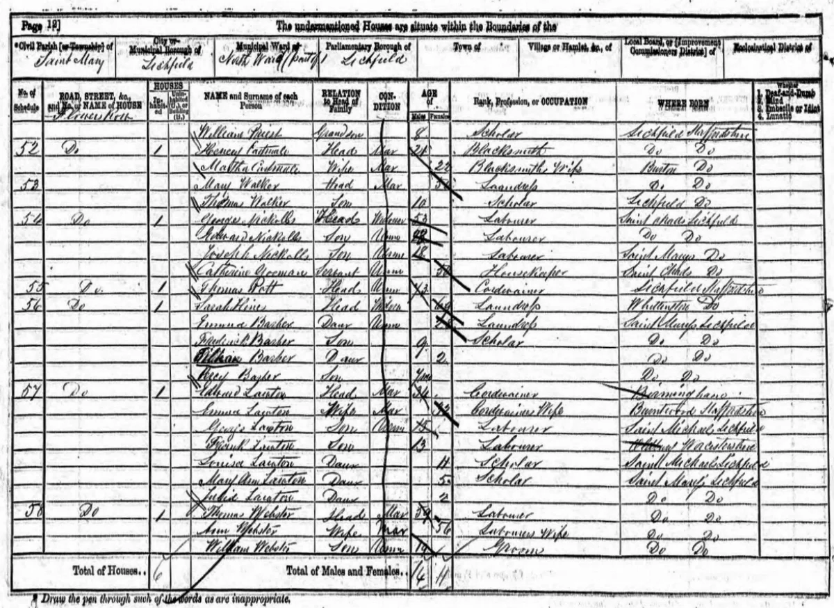 Extract from the 1871 census showing George Nicholls living with his sons Edward and Joseph.