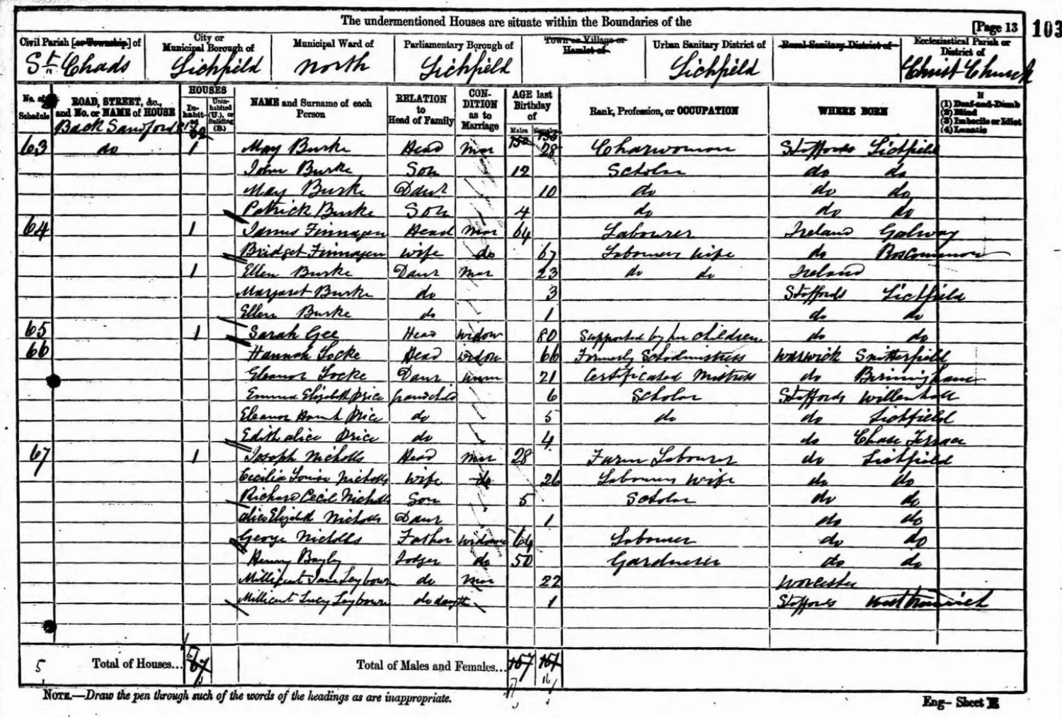 Extract from the 1881 census showing the family of Joseph and Cecilia Nicholls.