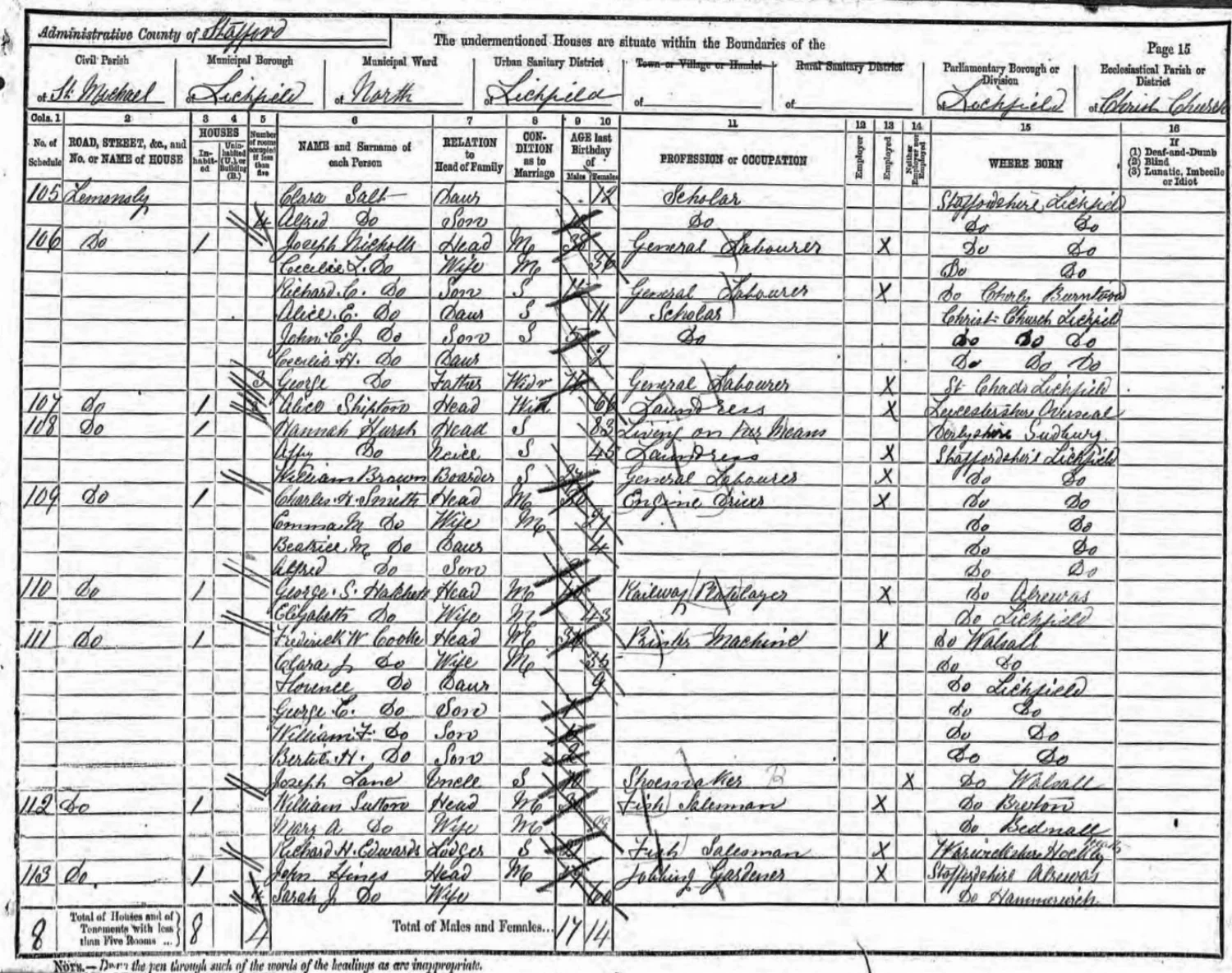 Extract from the 1891 census showing the family of Joseph and Cecilia Nicholls.