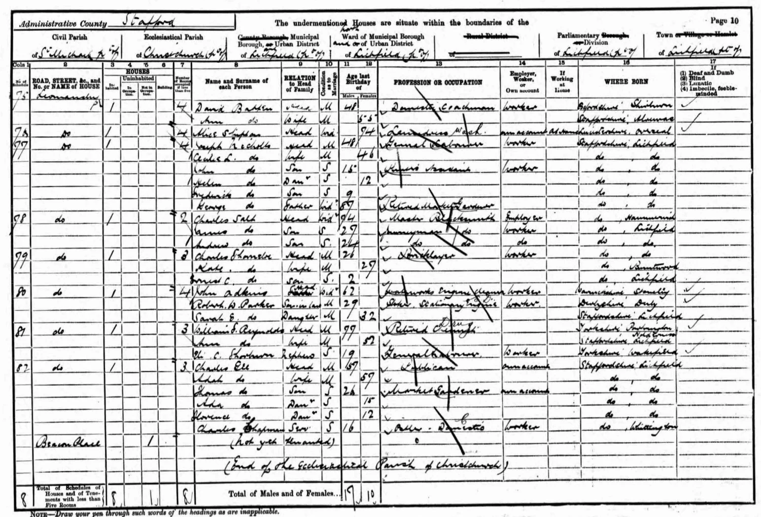 Extract from the 1901 census showing the family of Joseph and Cecilia Nicholls.