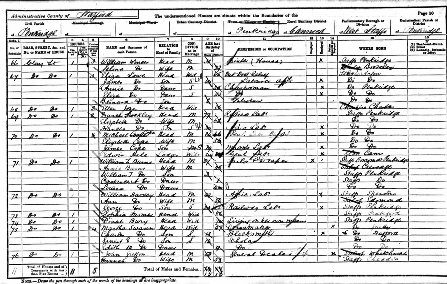 Extract from the 1891 census