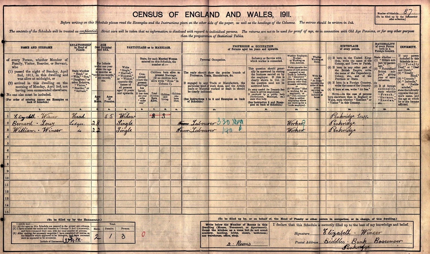 Extract from the 1911 census for Elizabeth Wincer