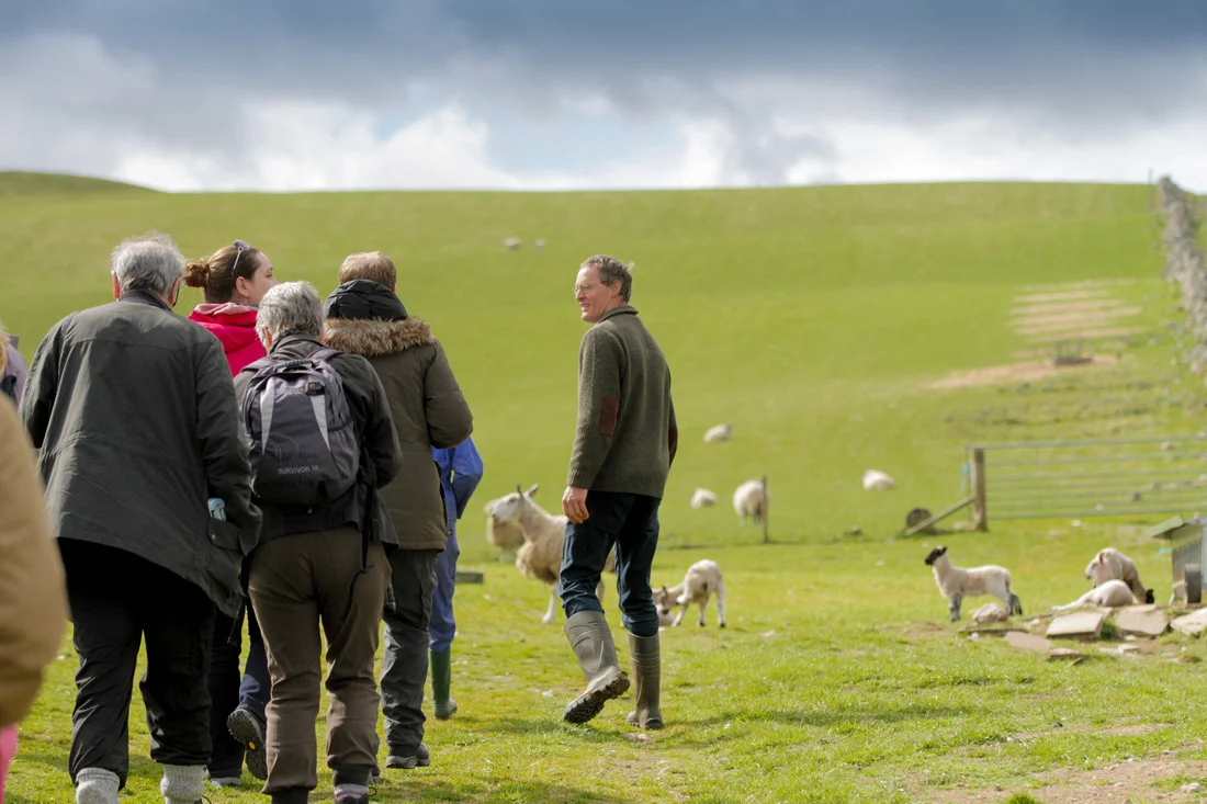 farm walk 2017 f.jpg