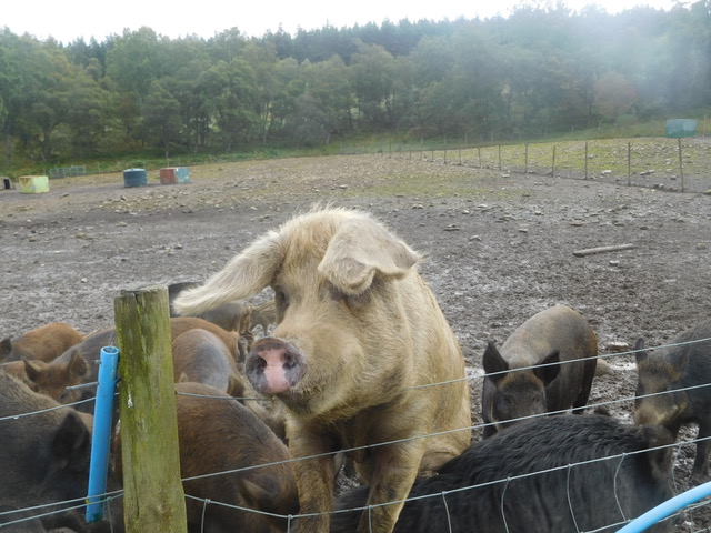 FEED ME!!!