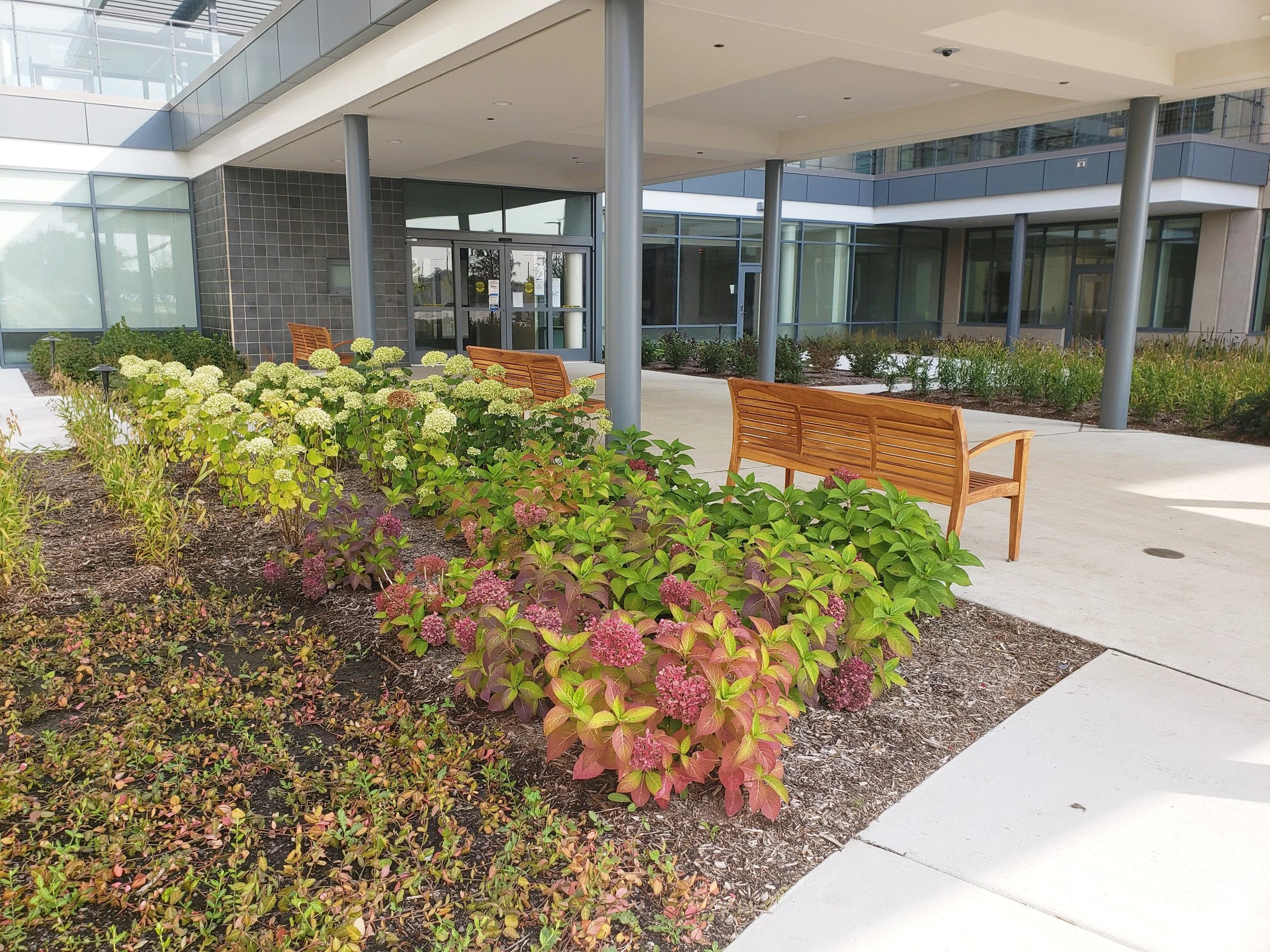 Illinois veterans home terra engineering