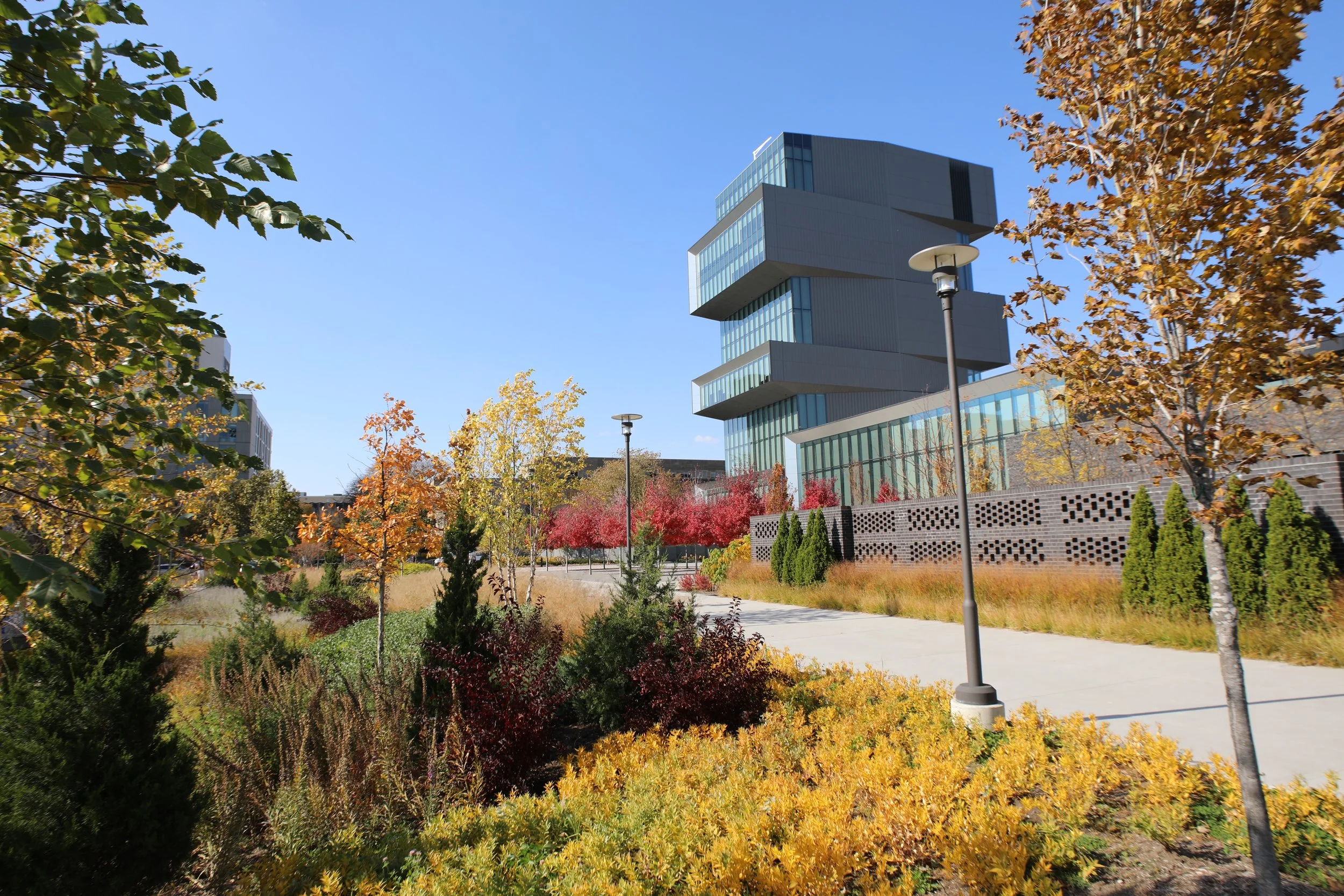 UChicago Campus South Walk — TERRA Engineering