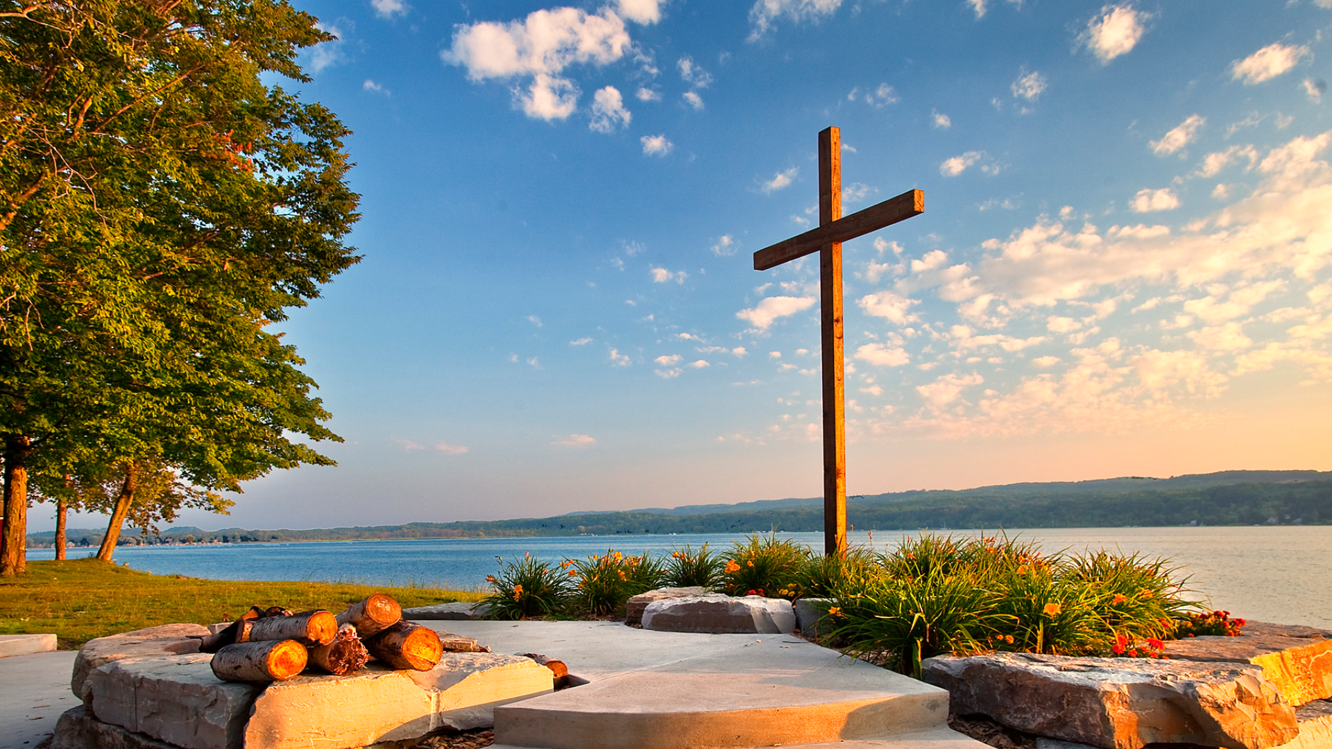 STP Image no banner.png