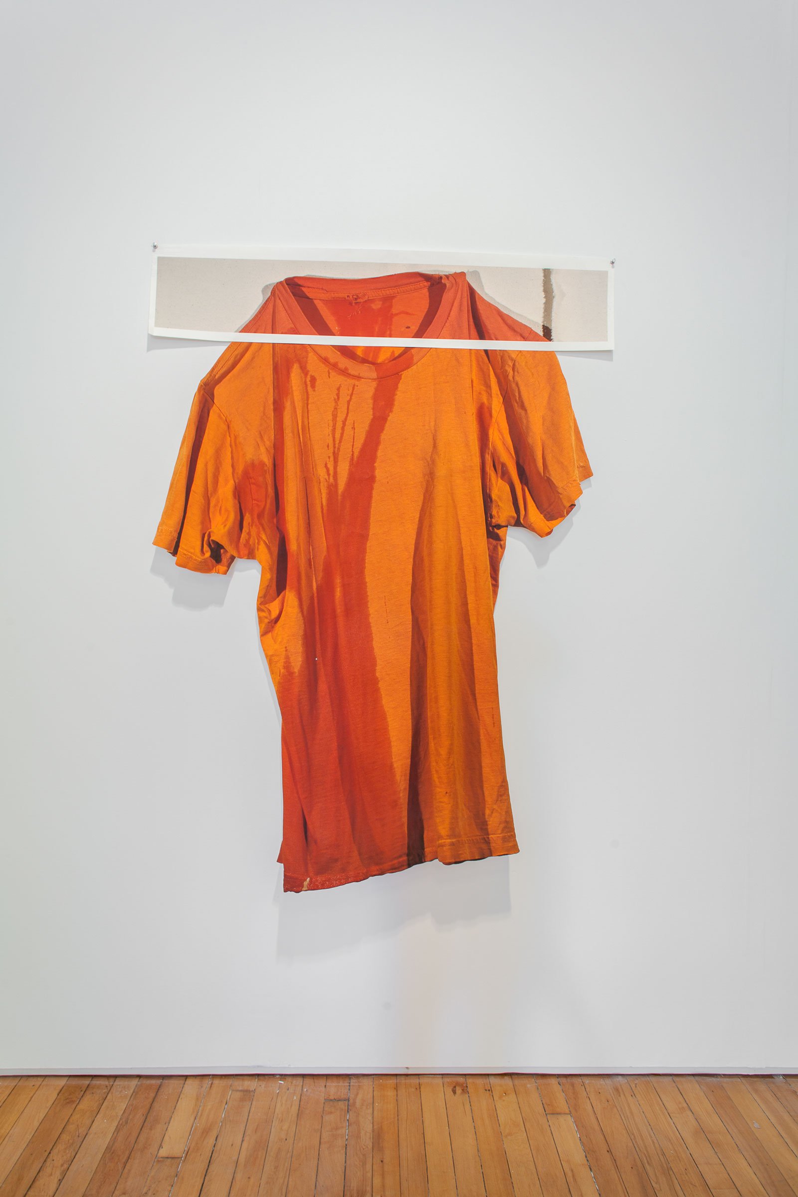 Orange T-Shirt, 2014
