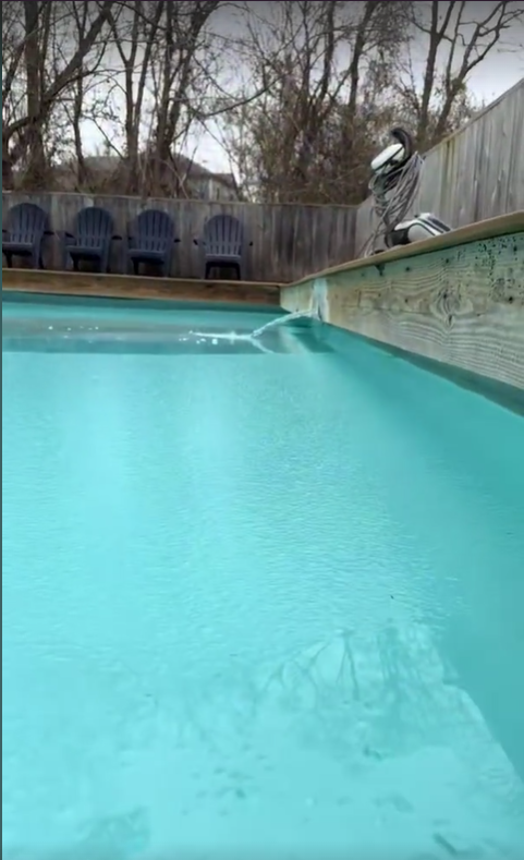 New Year, New Pool: Stress-Free 2026 Swim Season Starts with Winter Prep