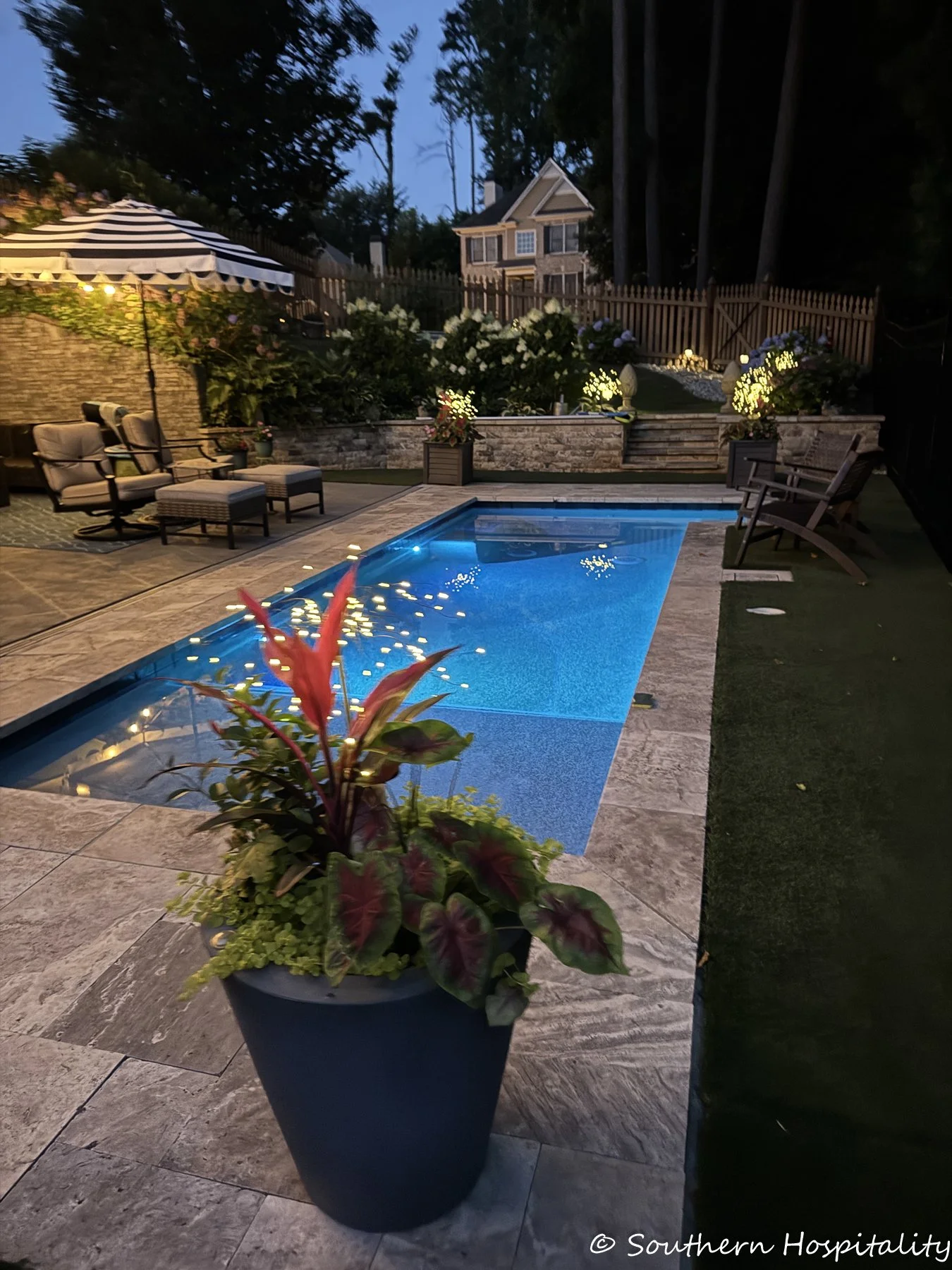 What to Expect During a Professional Pool Opening