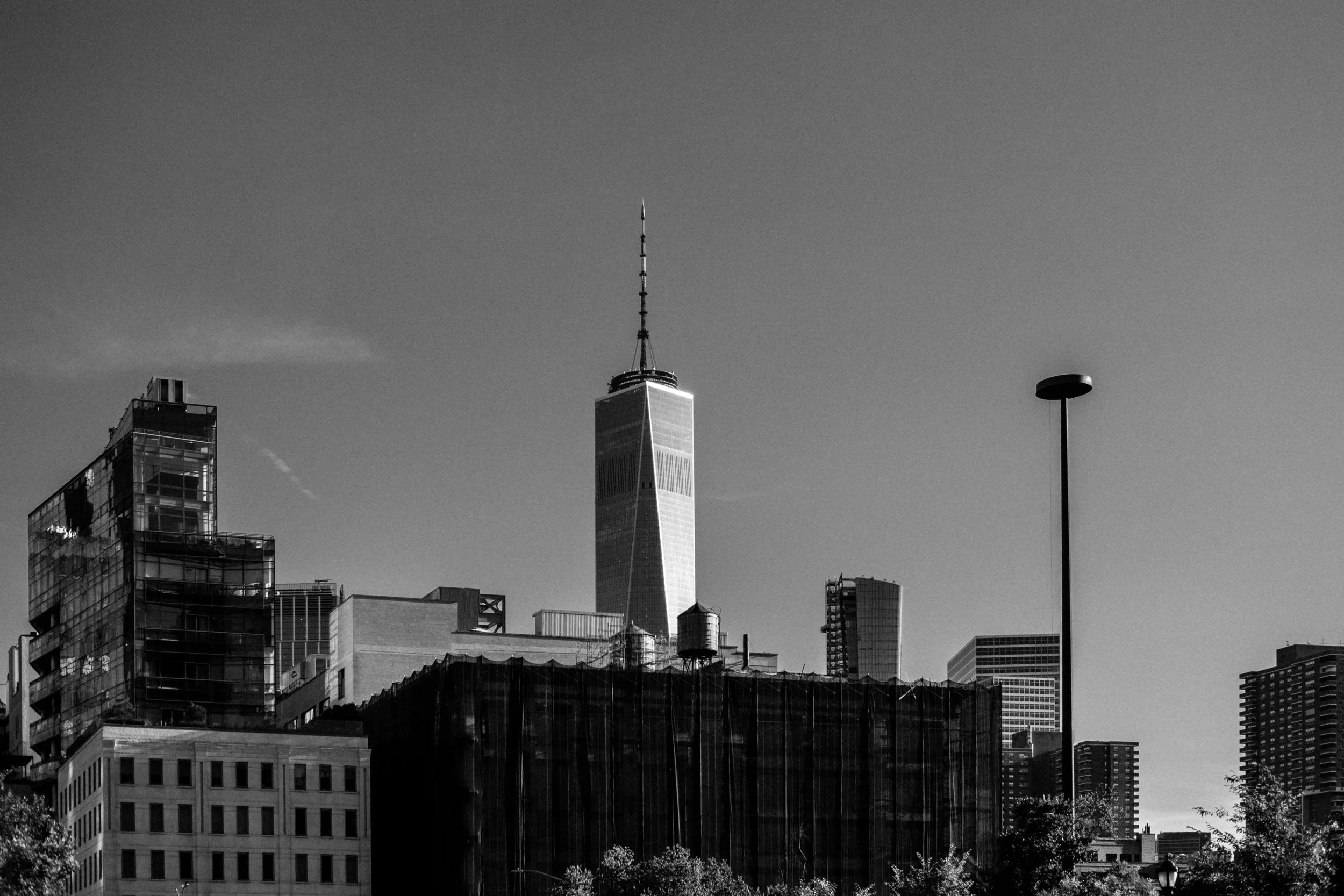 DSCF7256.jpg