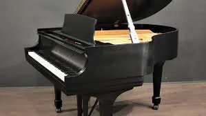 baby grand piano.jpg