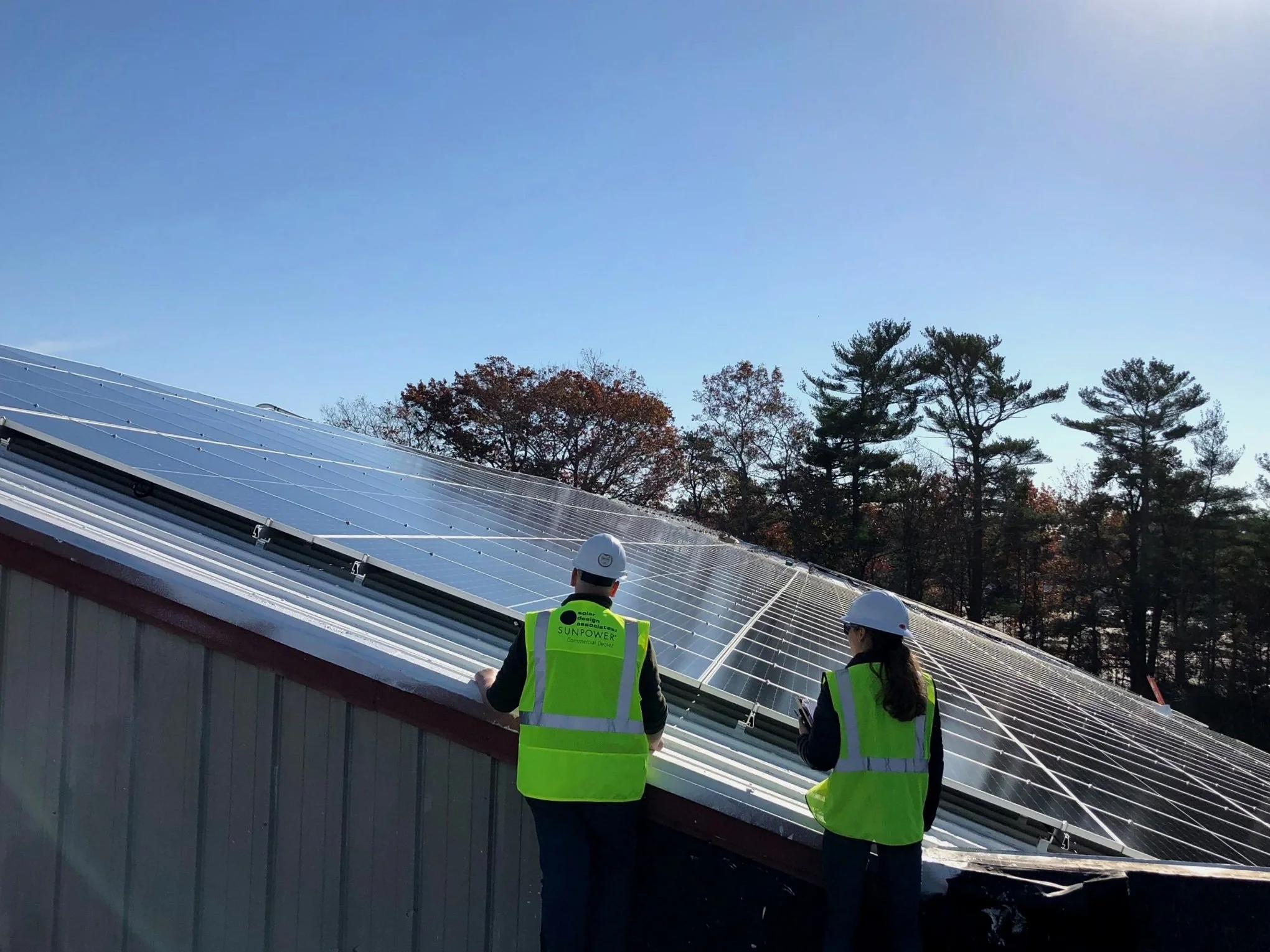 Sunlight on the horizon