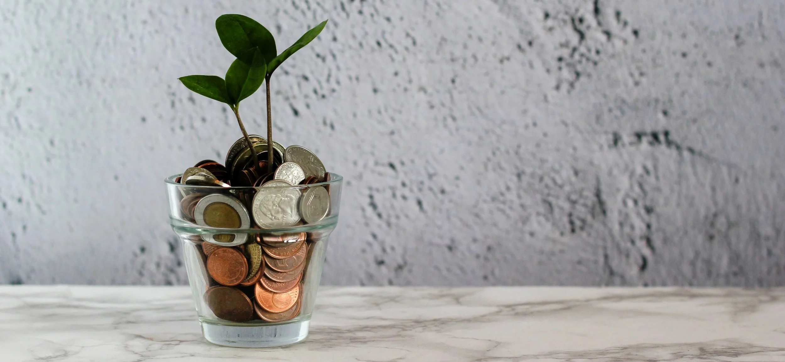 32. International Influencers: Appealing to Climate Conscious Clients