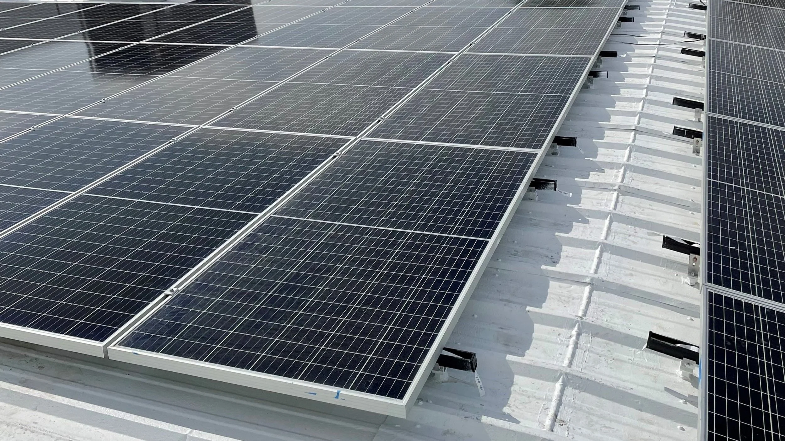 Care of Creation Begins With Us