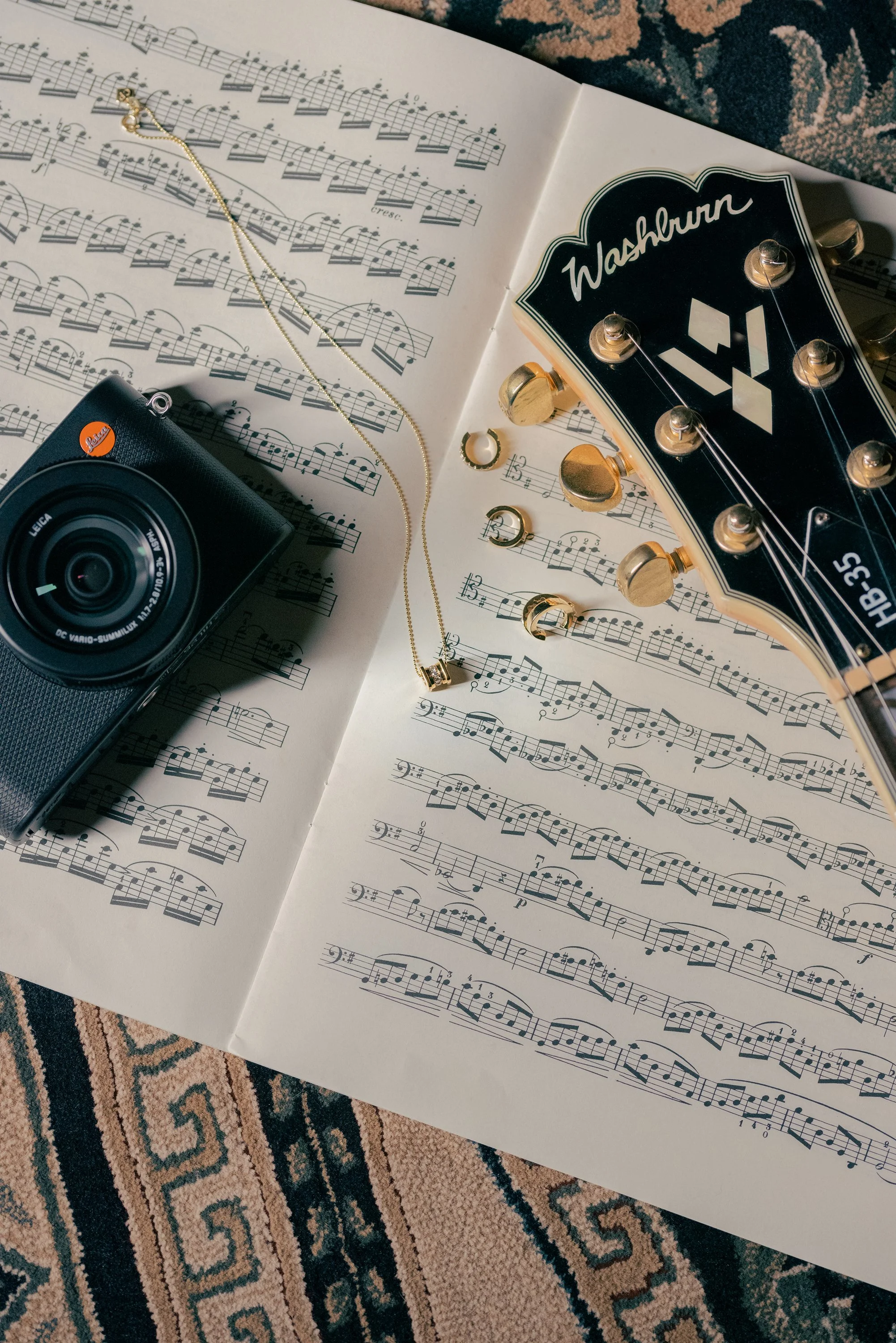 Prunes Jewellery Camera Guitar Vertical.jpg
