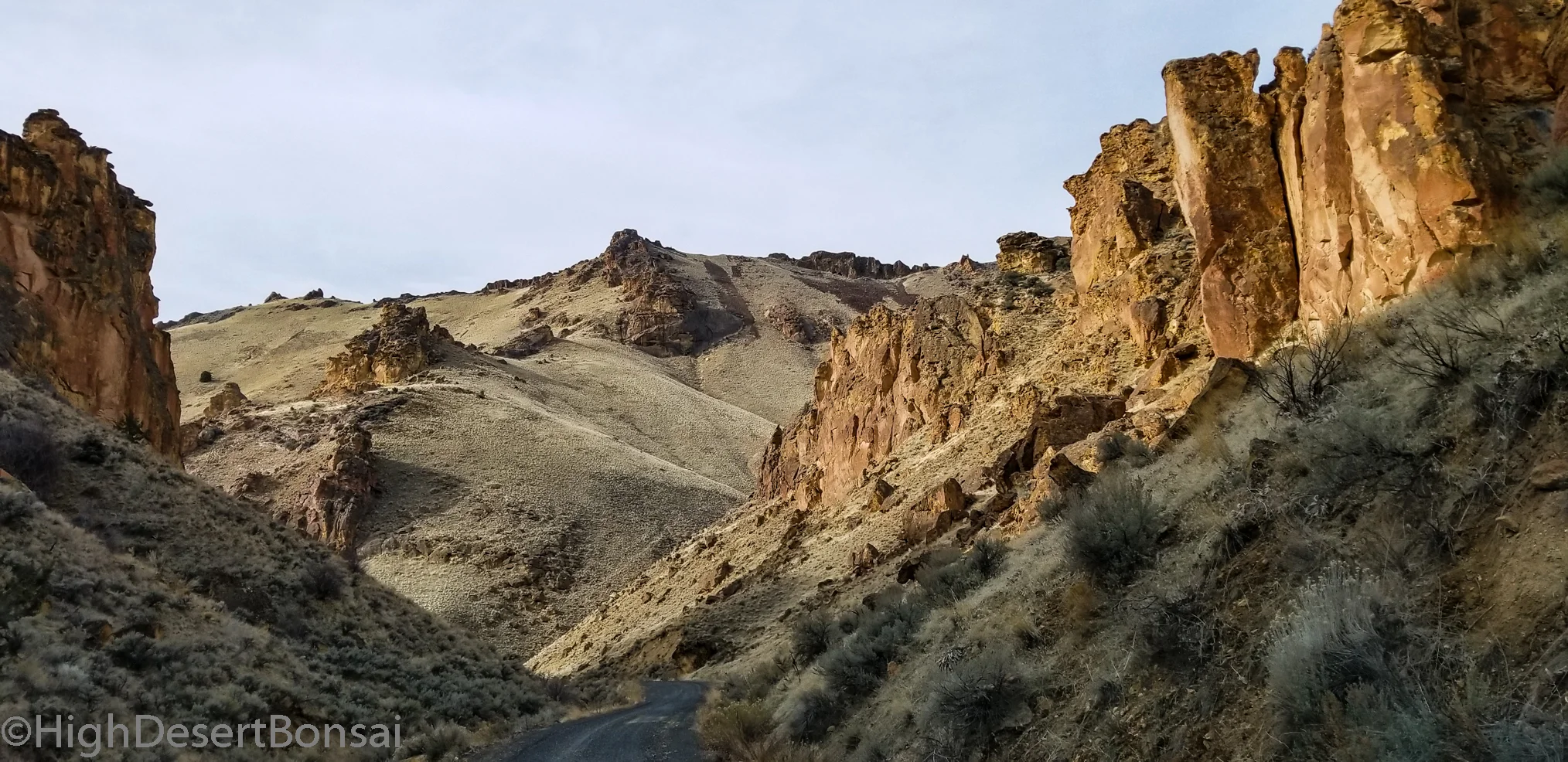 20180203_123124.jpg