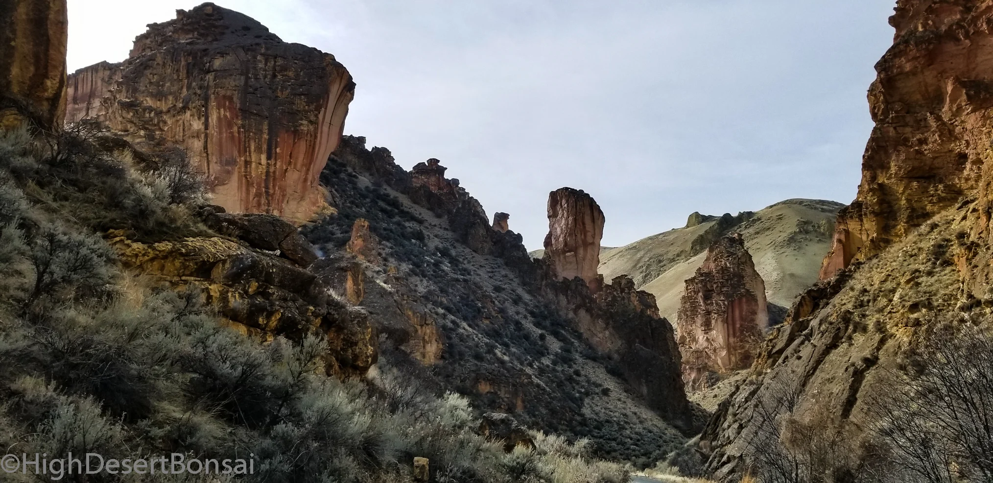 20180203_123425.jpg