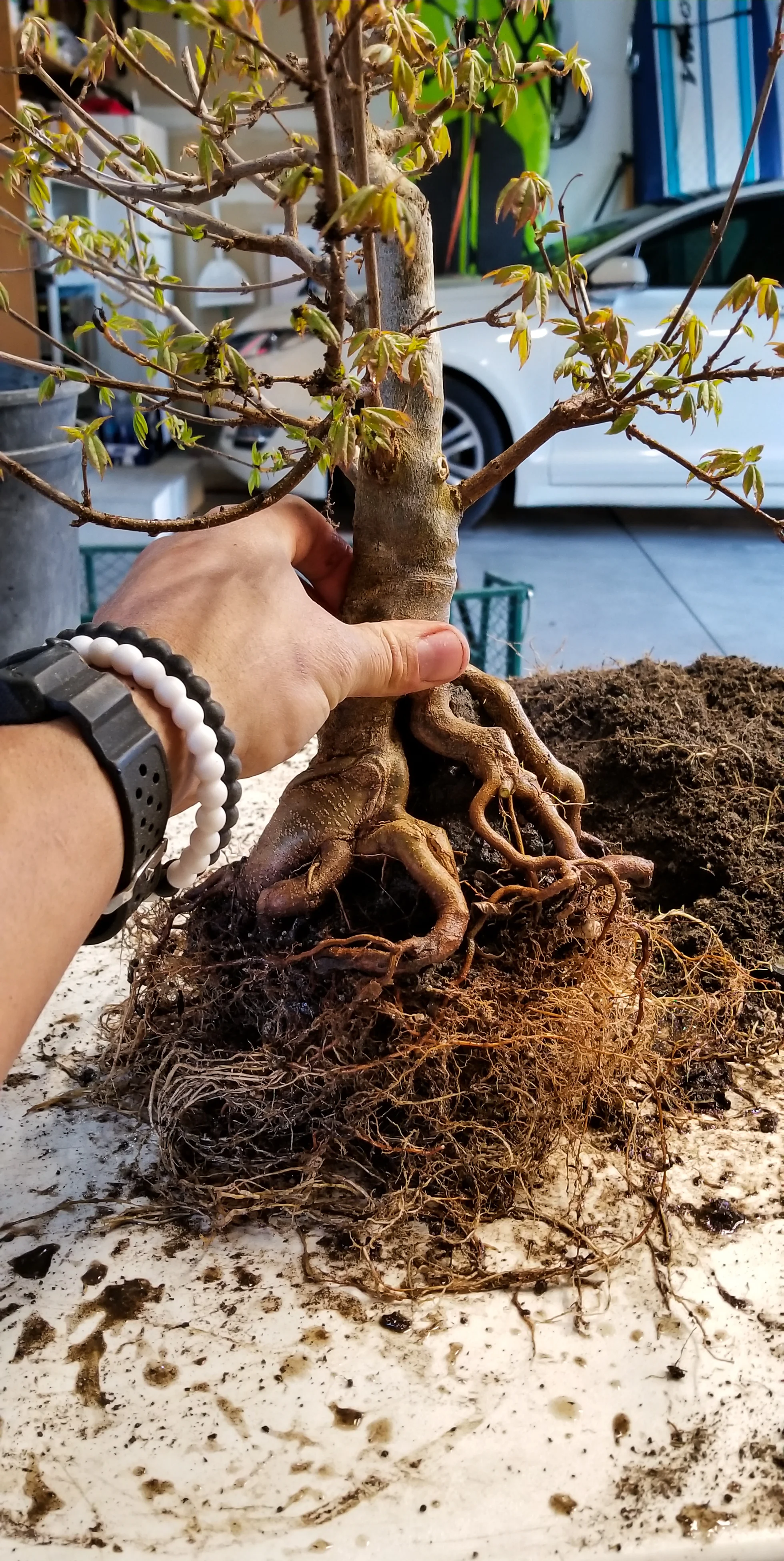20180311_190737.jpg