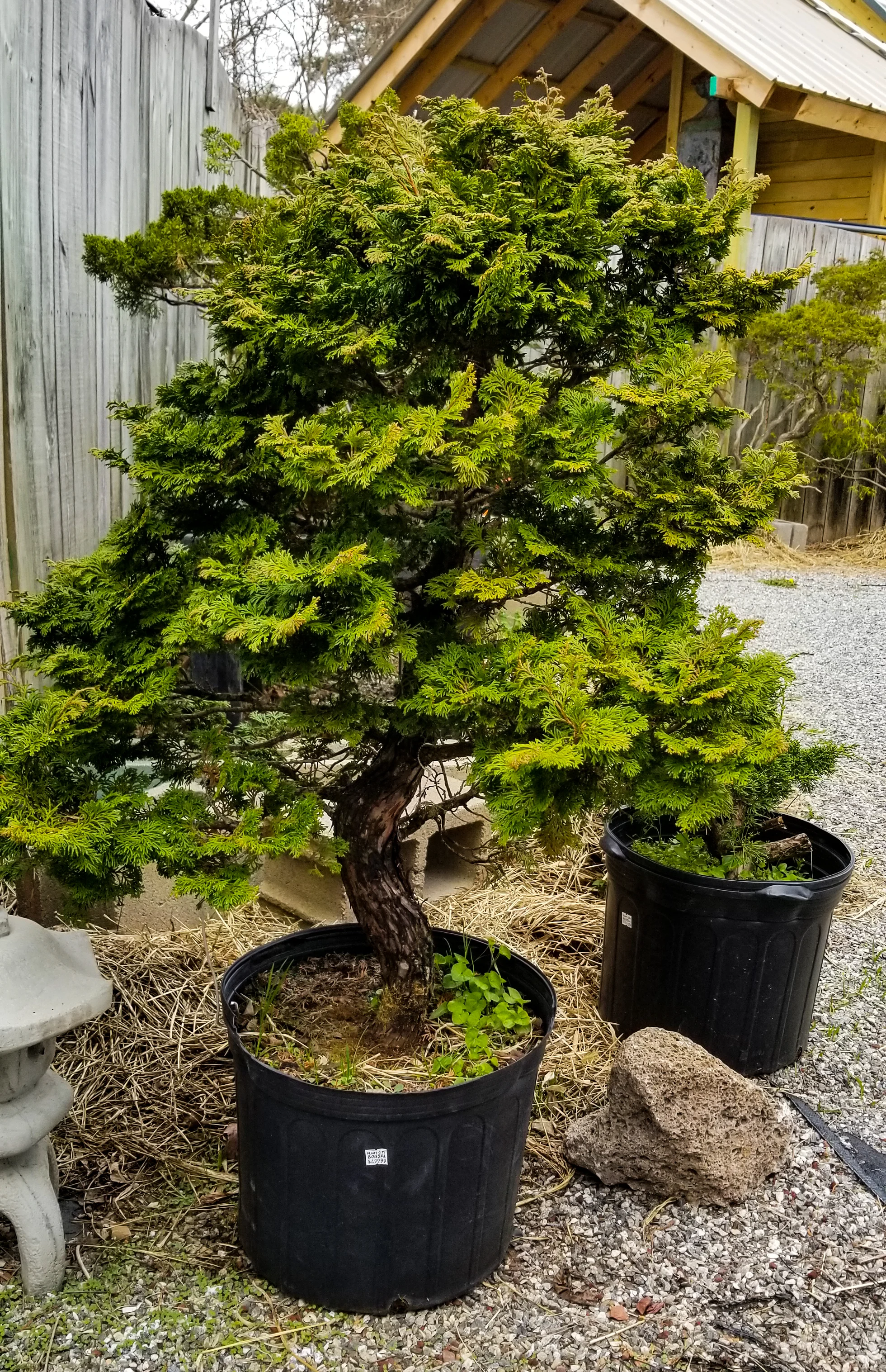 20180318_160614.jpg