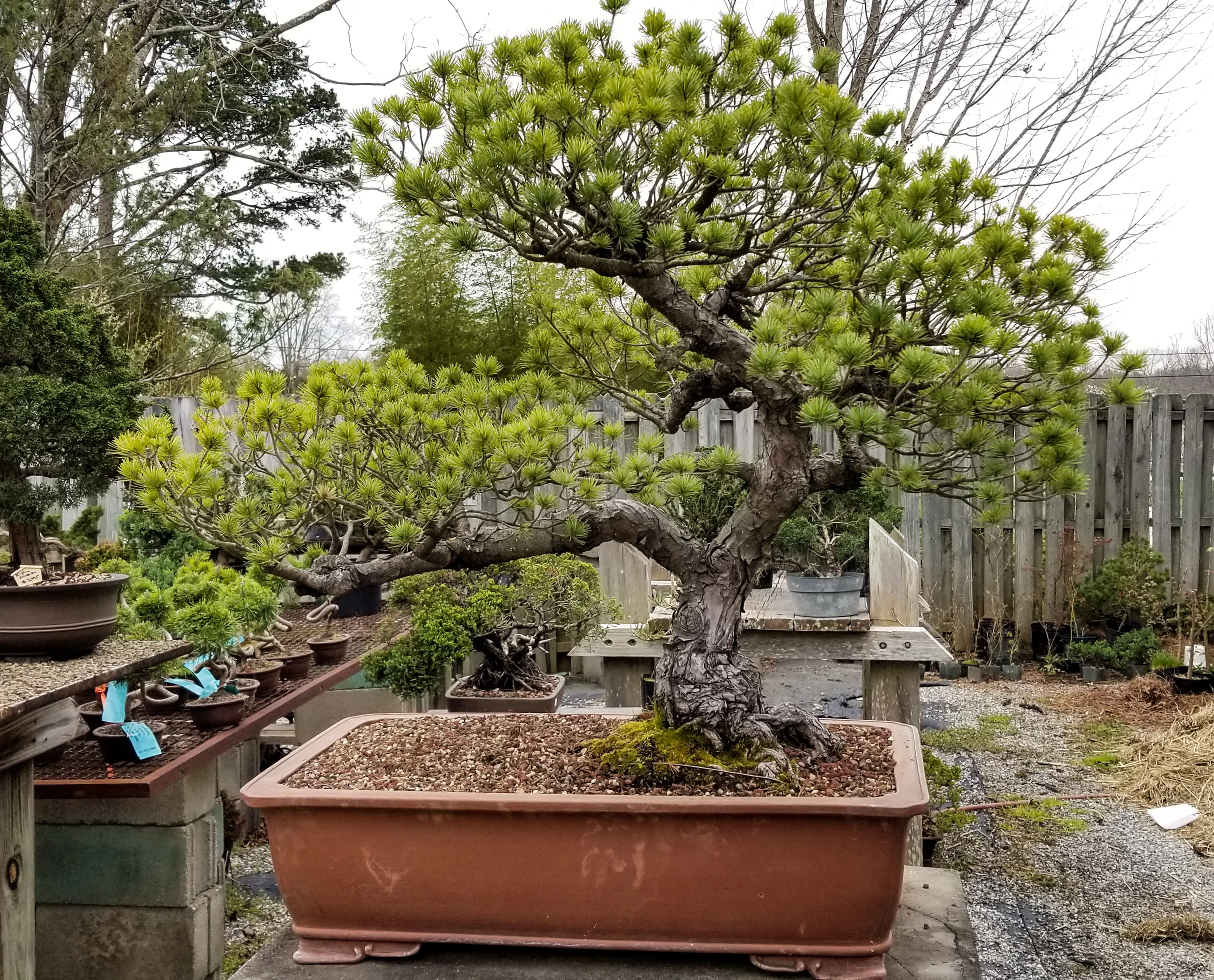 20180318_160634.jpg