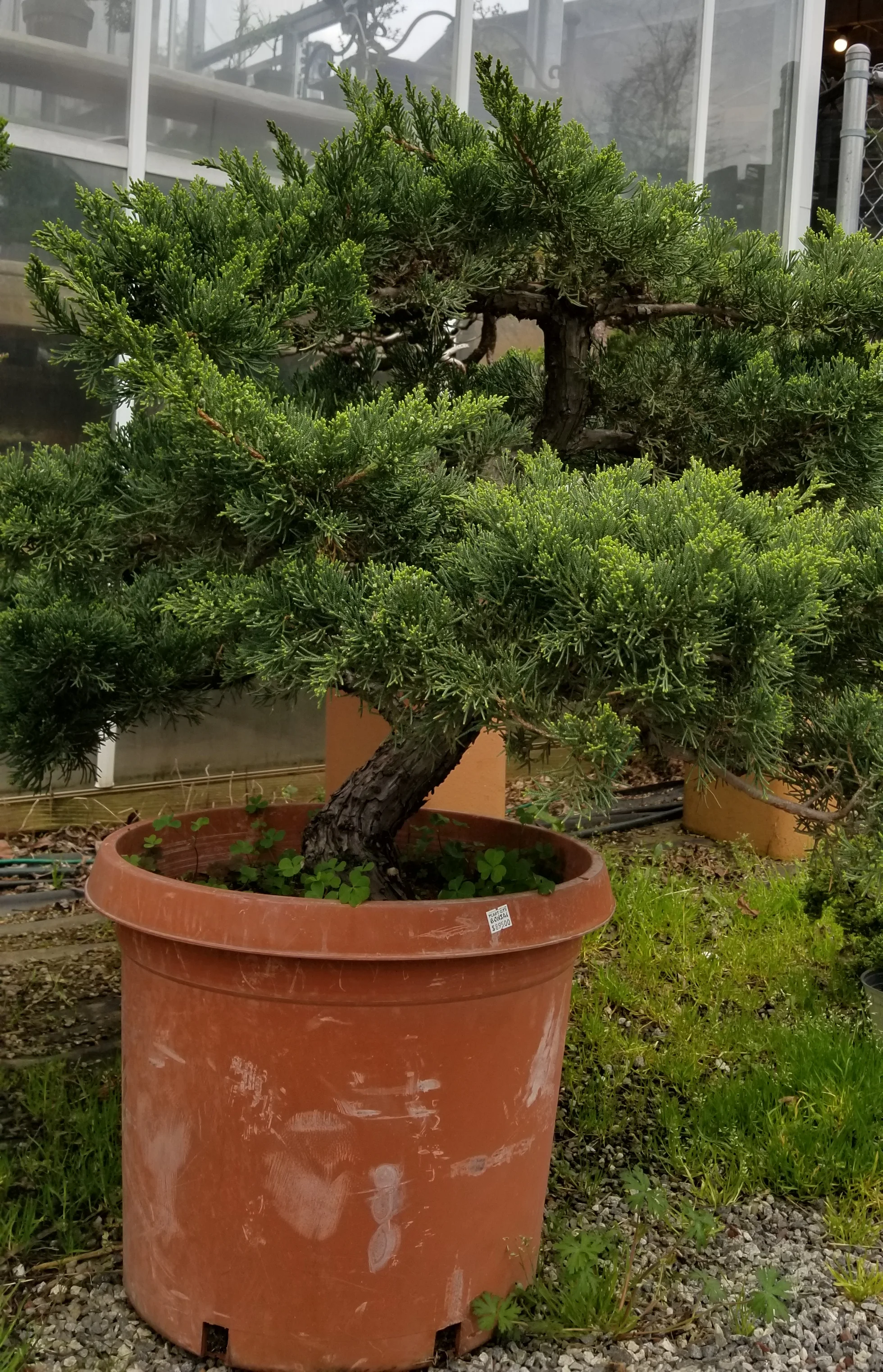 20180318_160751.jpg