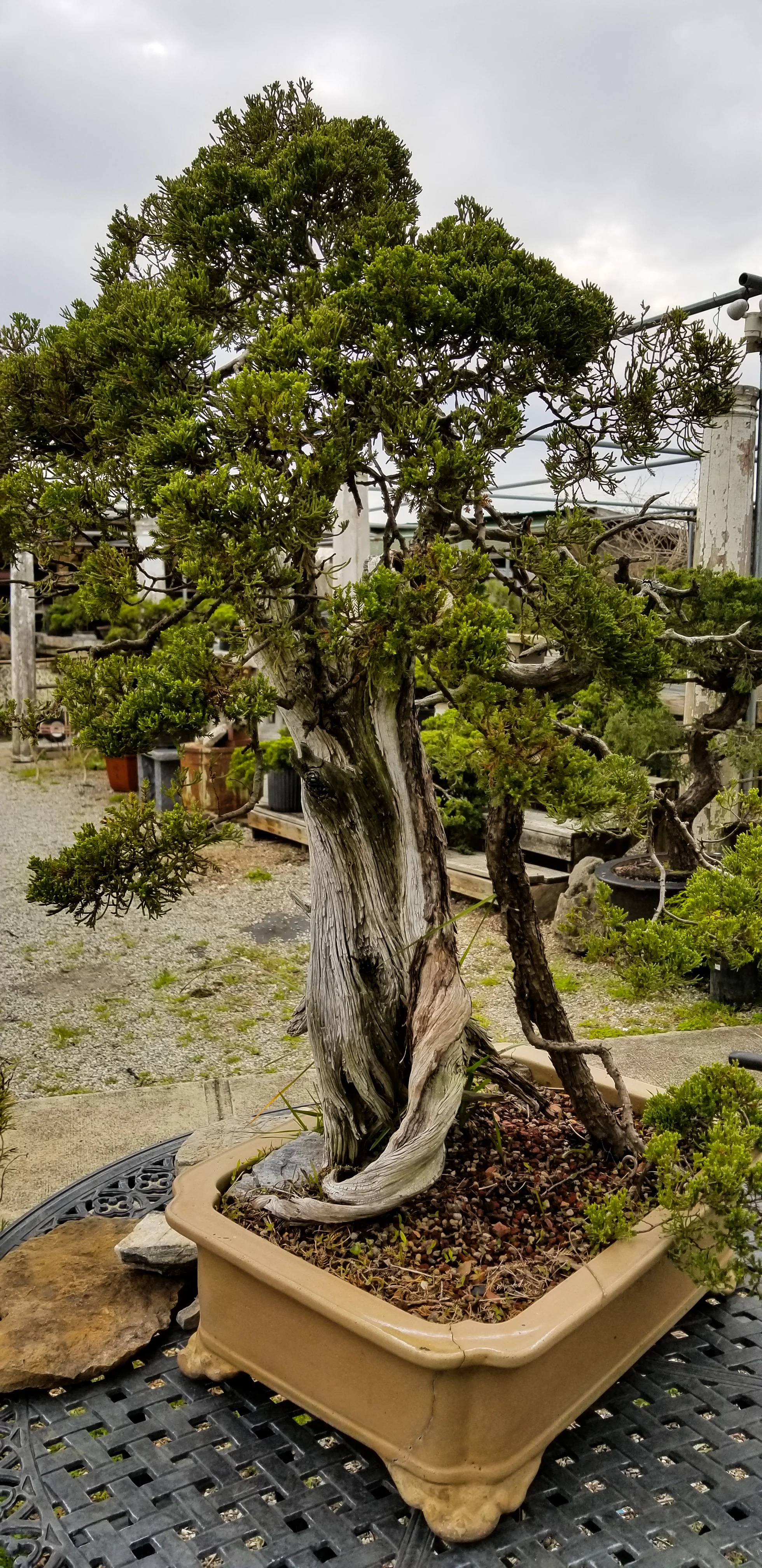 20180318_161332.jpg