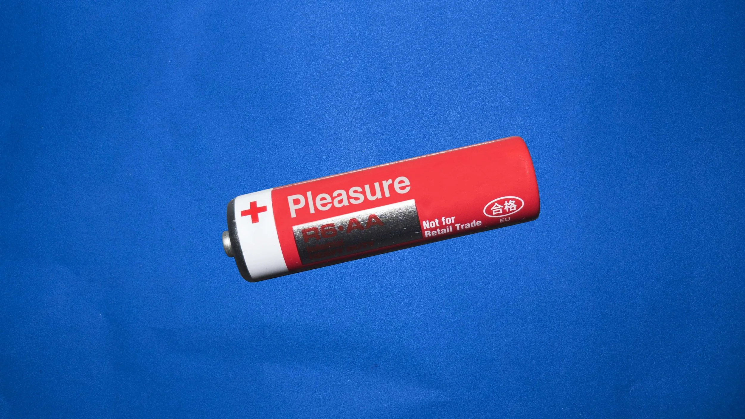 The Future pleasure.jpg