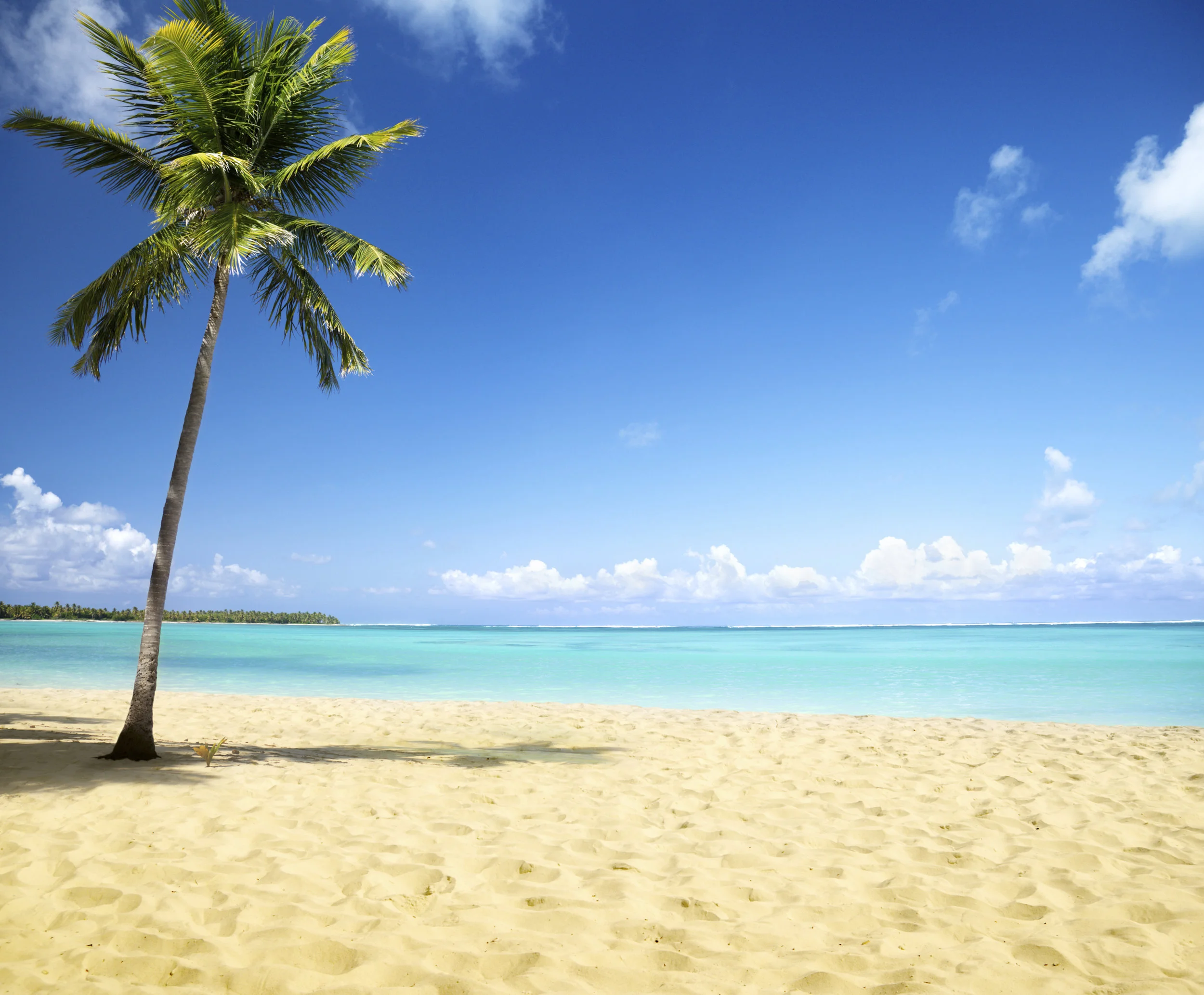 iStock_000011596958Large.jpg