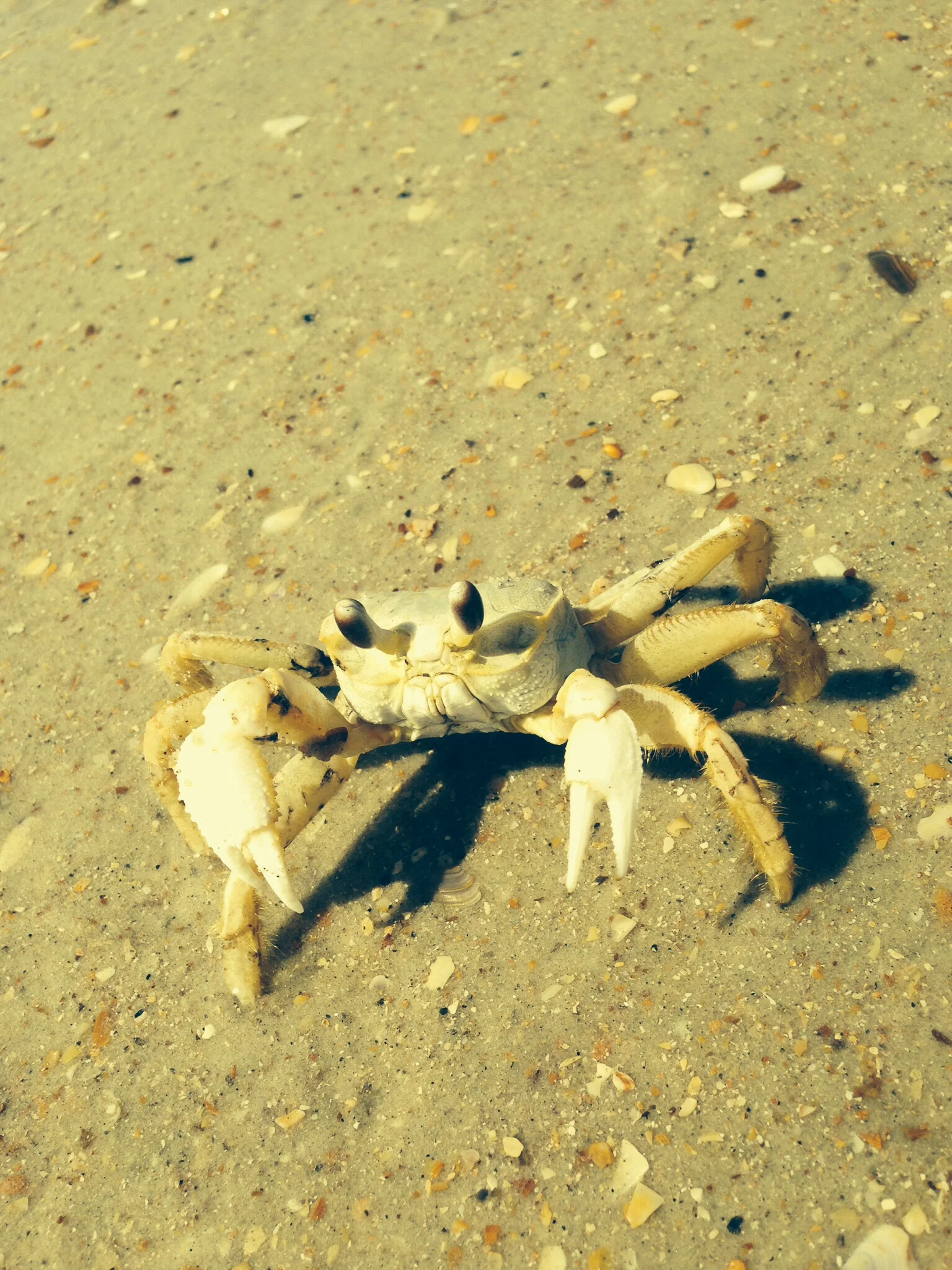 Ugh, I  can't believe I had a stroke!