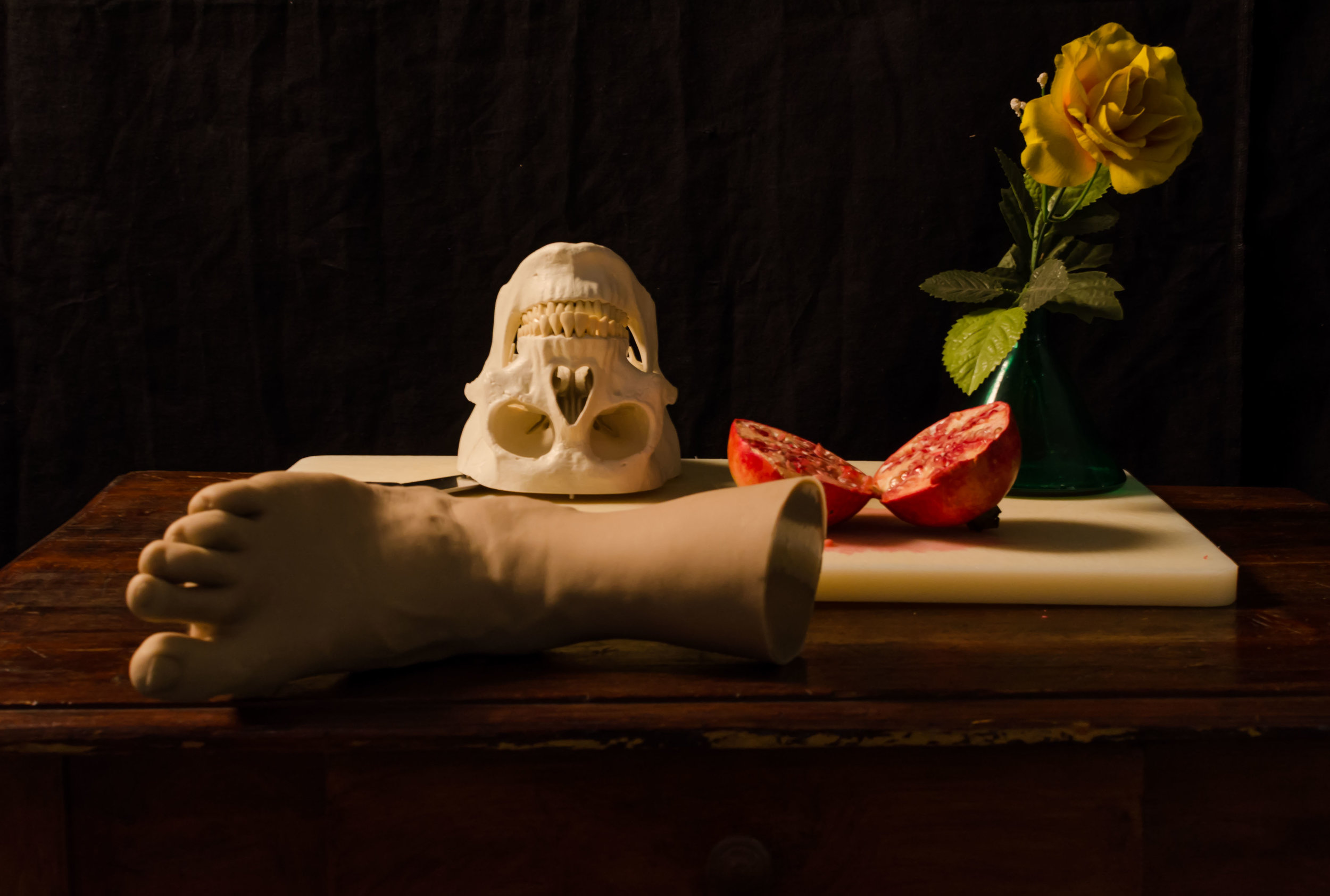 CB_stillLife_skull-3806.jpg