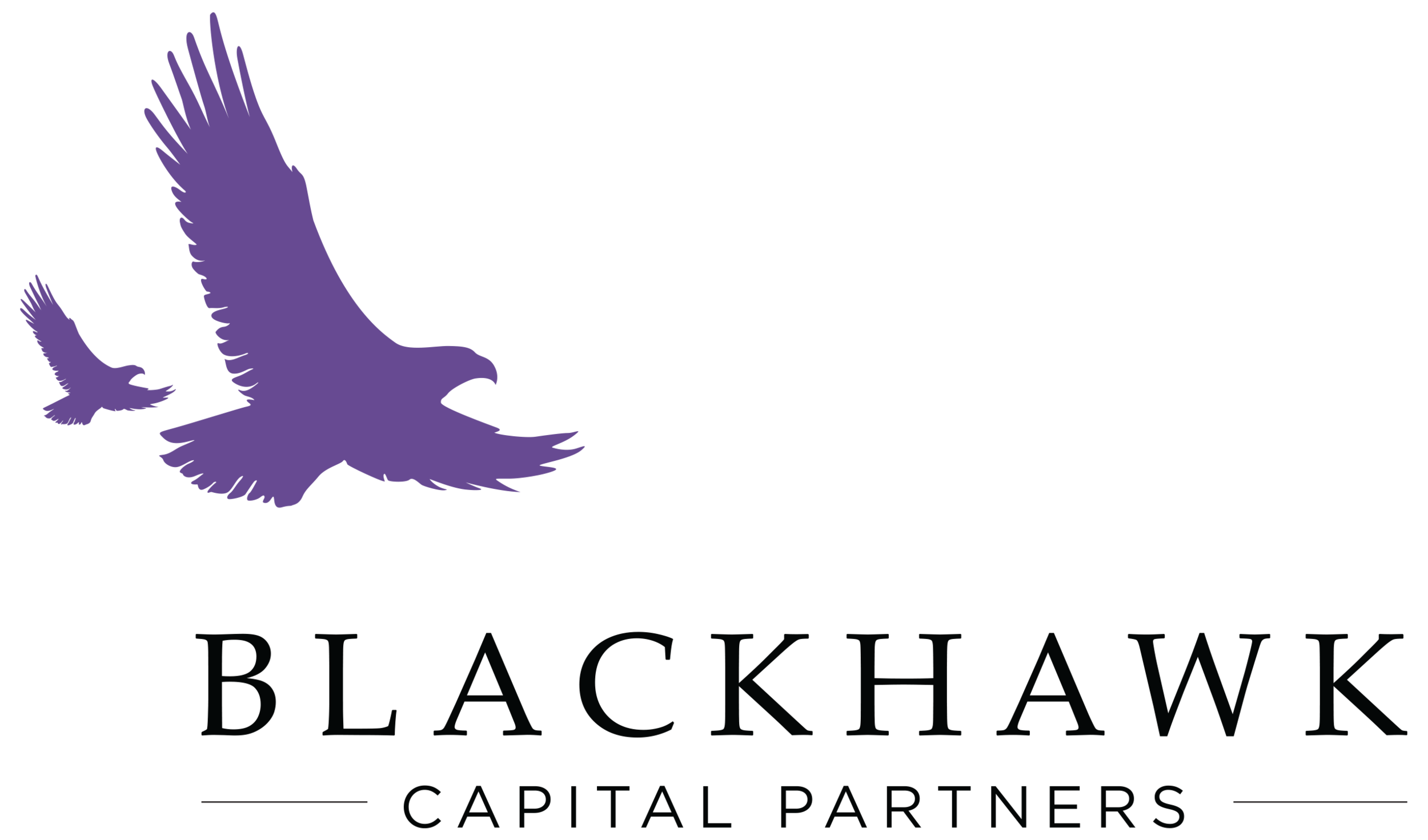 Blackhawk-logo-large.png