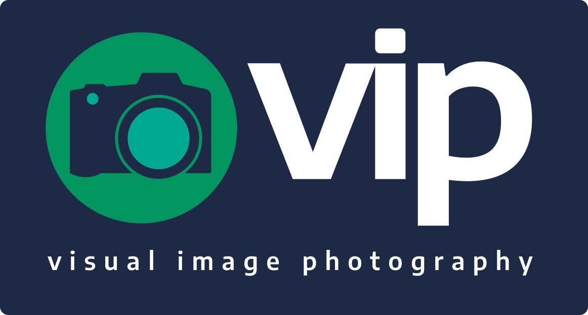 vip_logo_blue_rectangle_2021.jpg