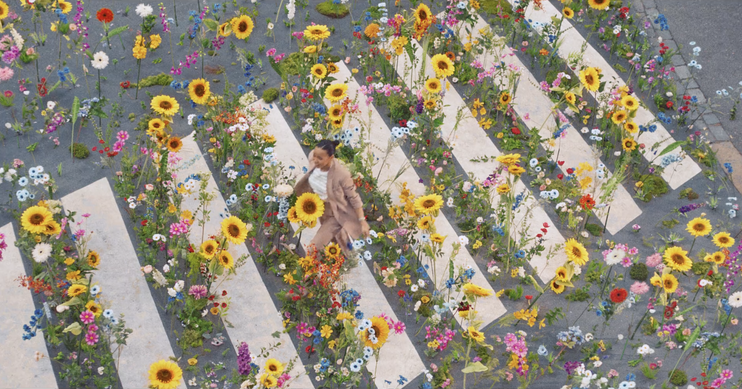 Screenshot 2026-01-21 at 11.06.12 AM.png