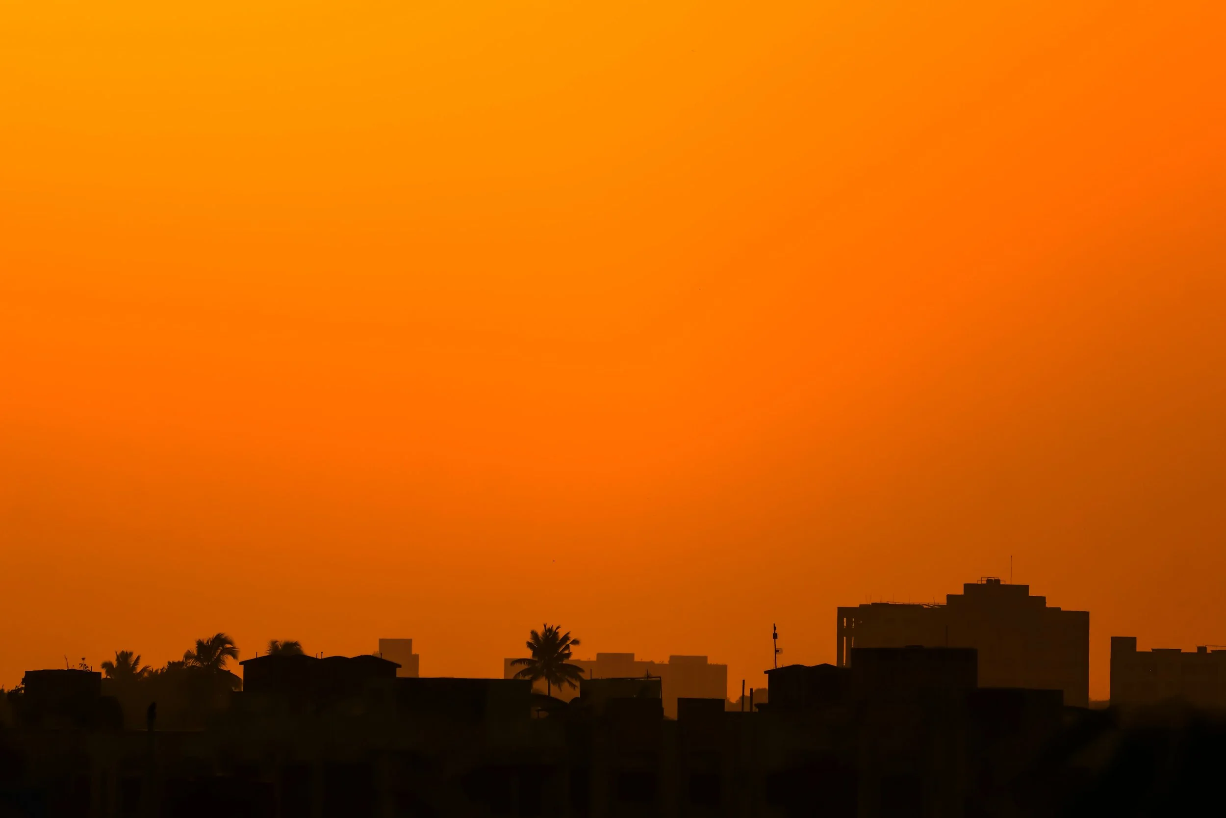 The Way of the World (Nov. 16-19)