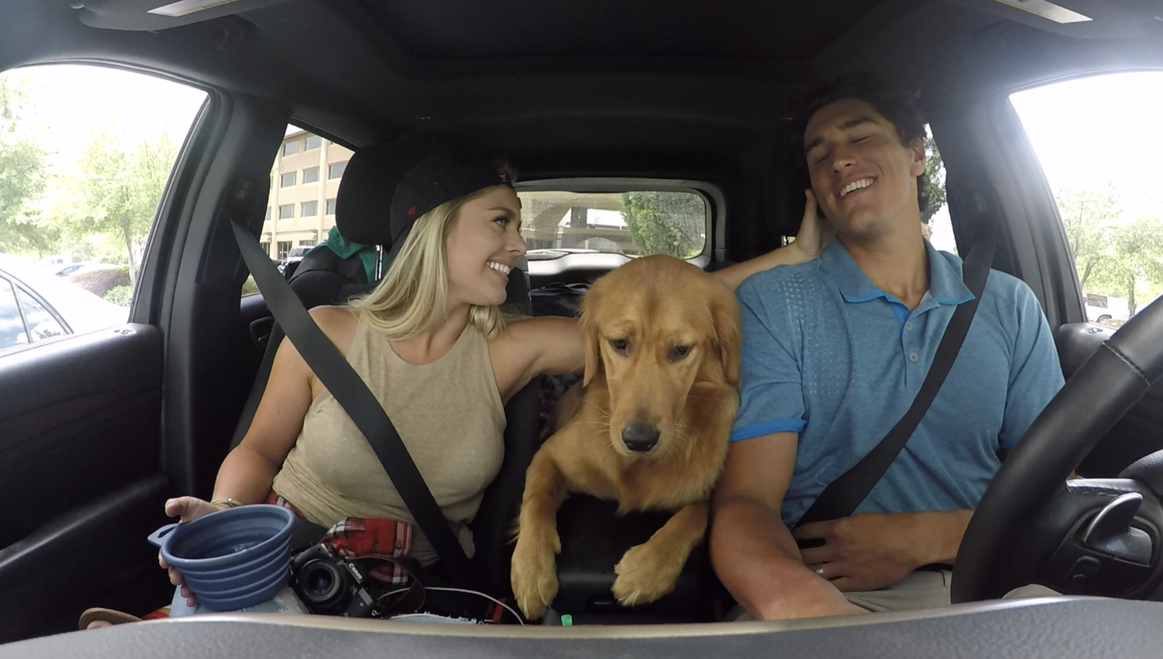 How to Travel with a Puppy